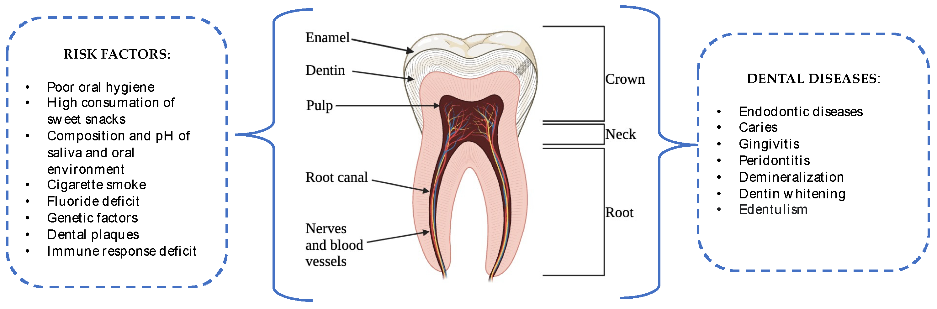 Antibiotics 12 01690 g001