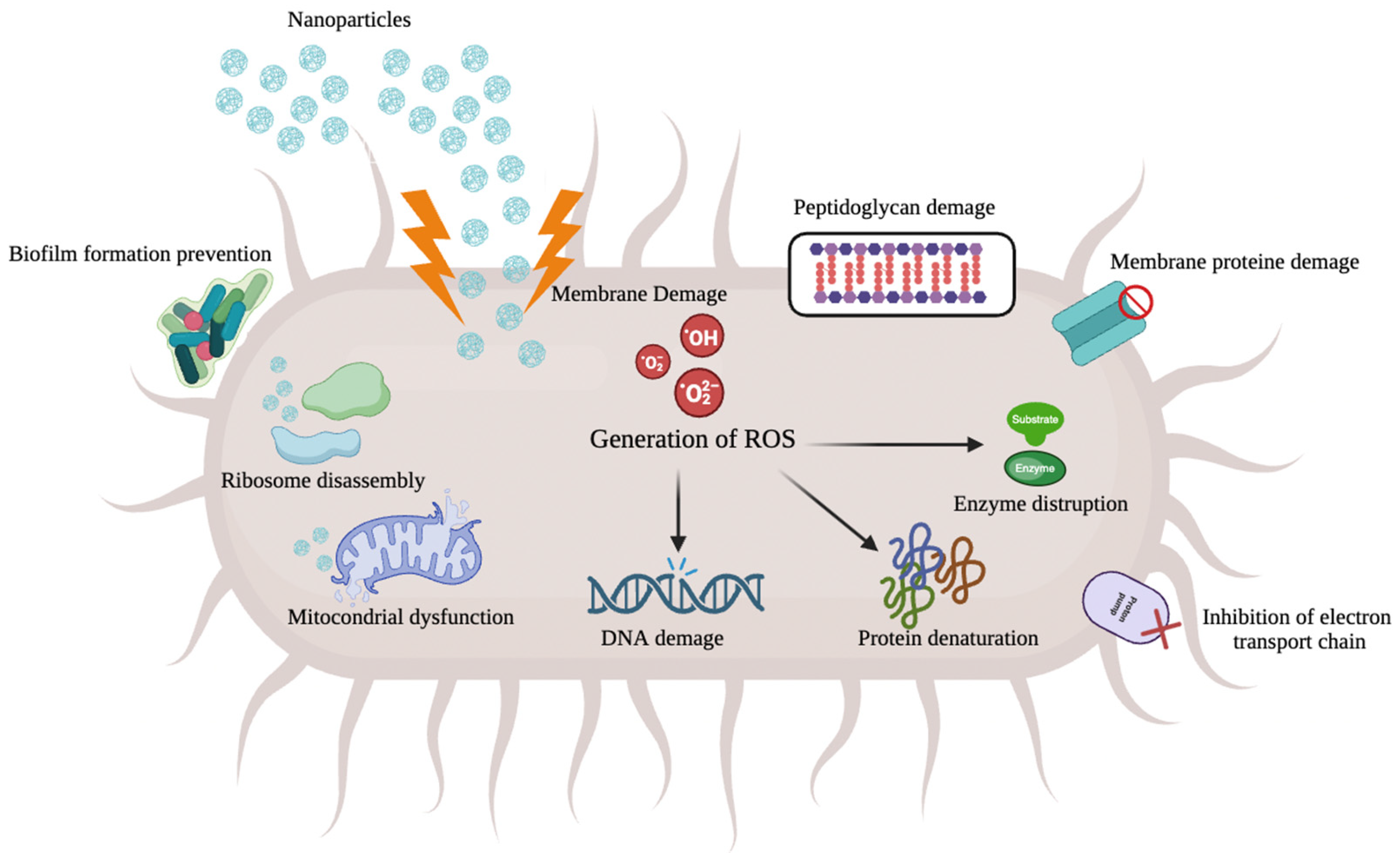 Antibiotics 12 01690 g004