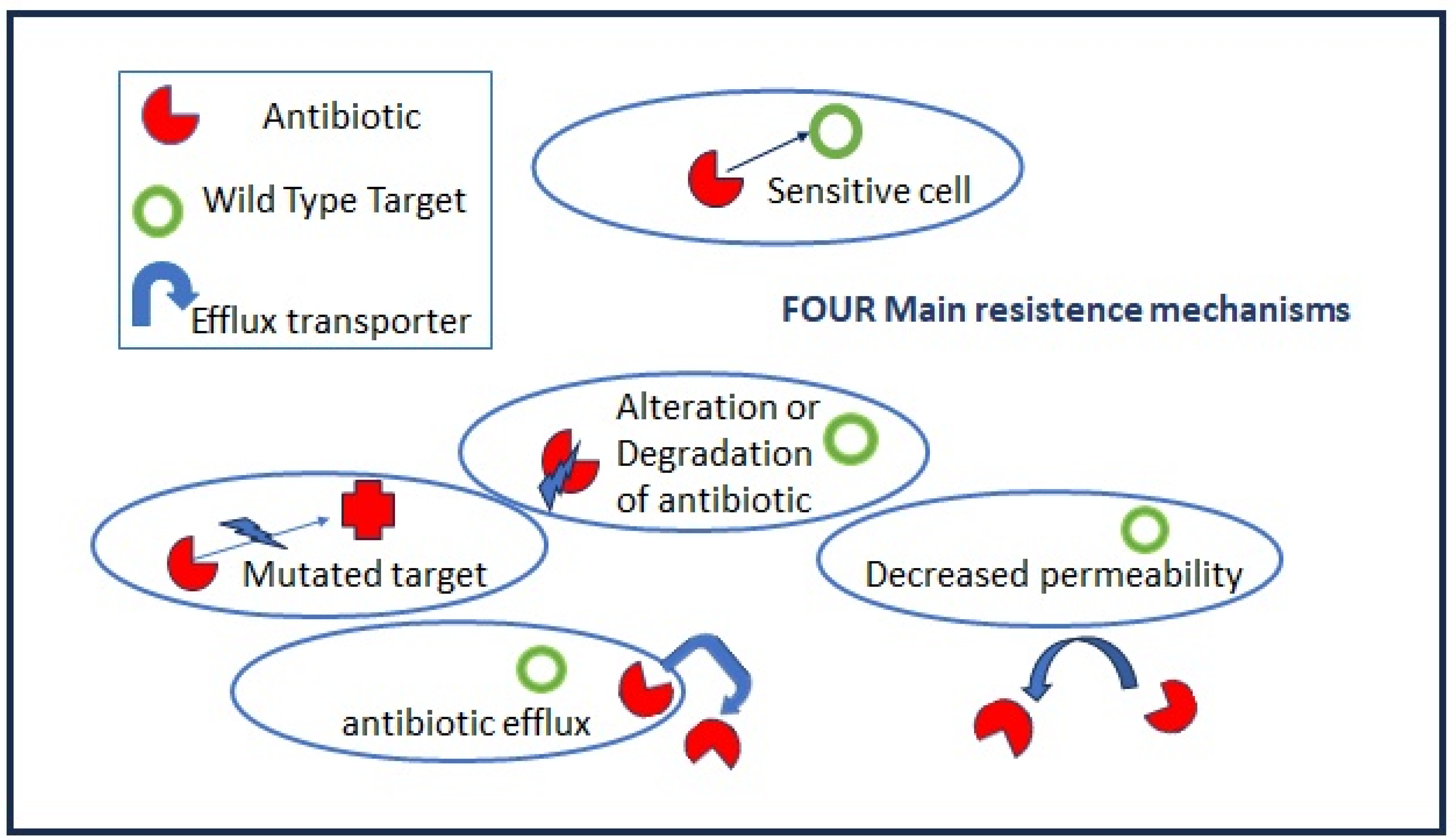 Antibiotics 12 01694 g002