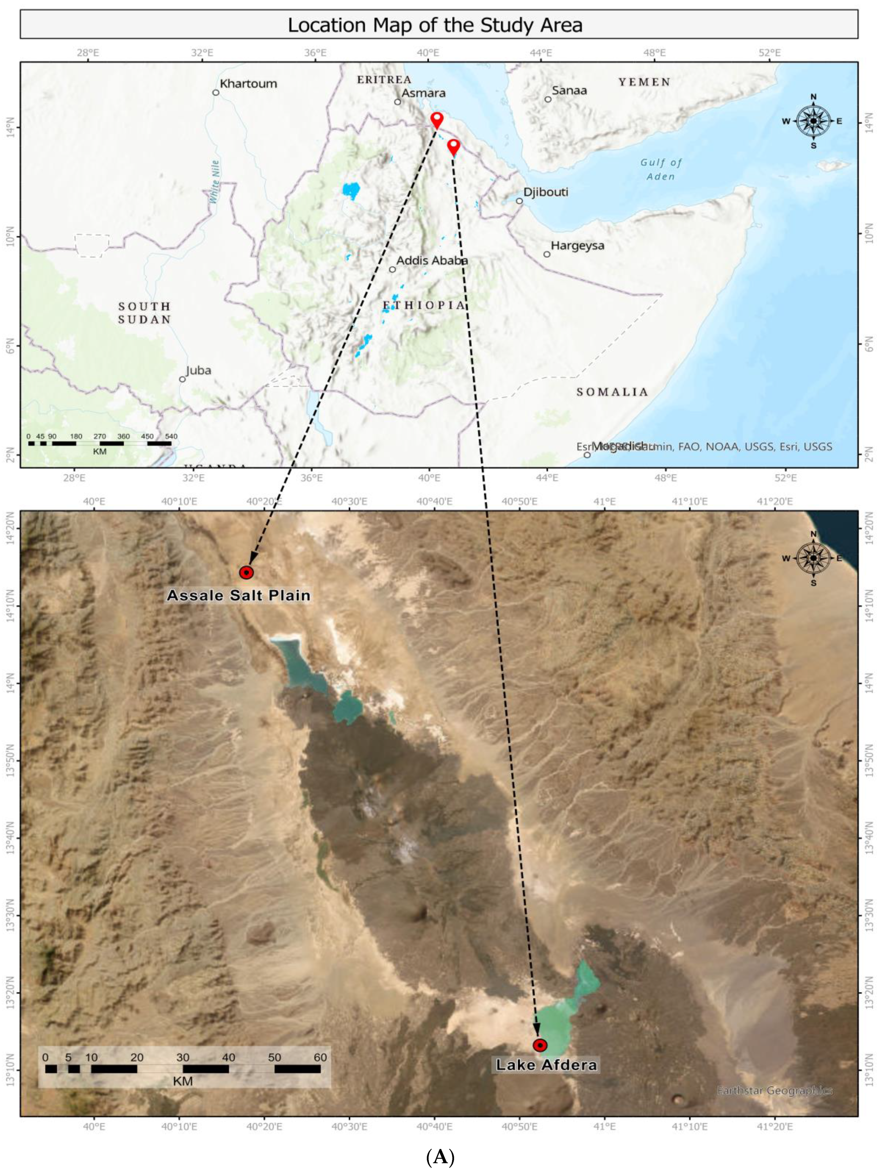 Antibiotics 12 01697 g001a