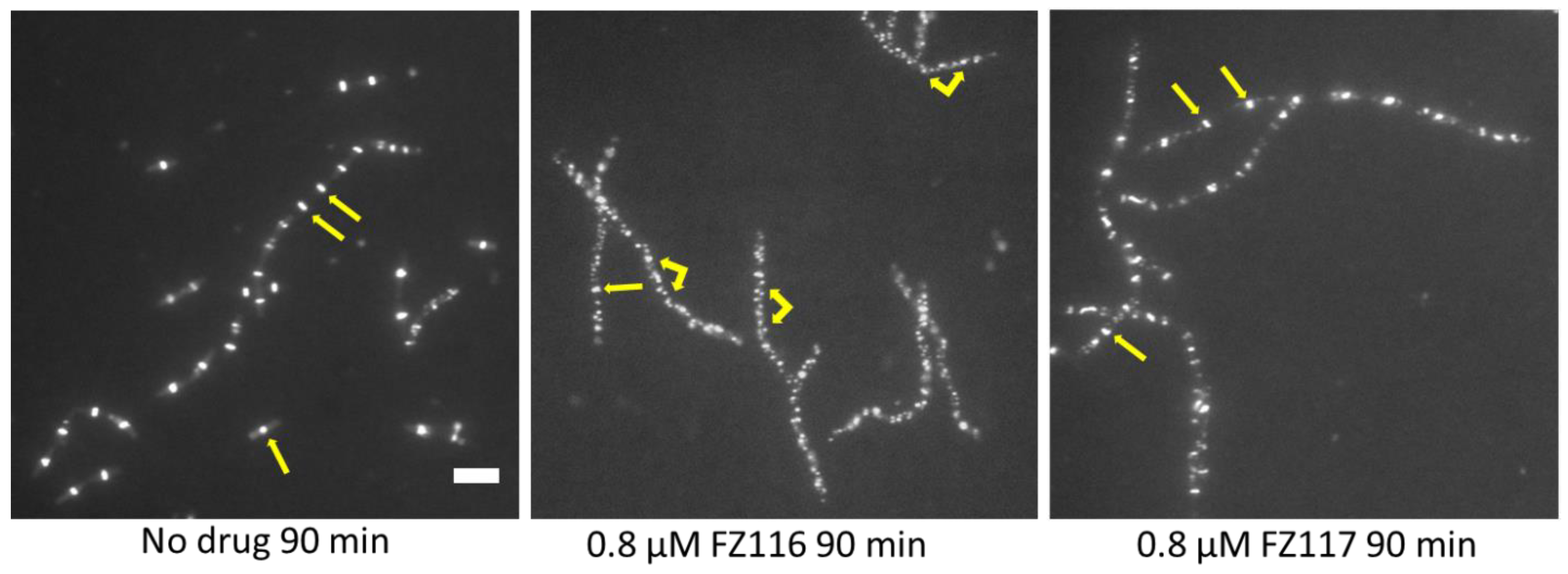 Antibiotics 12 01712 g005