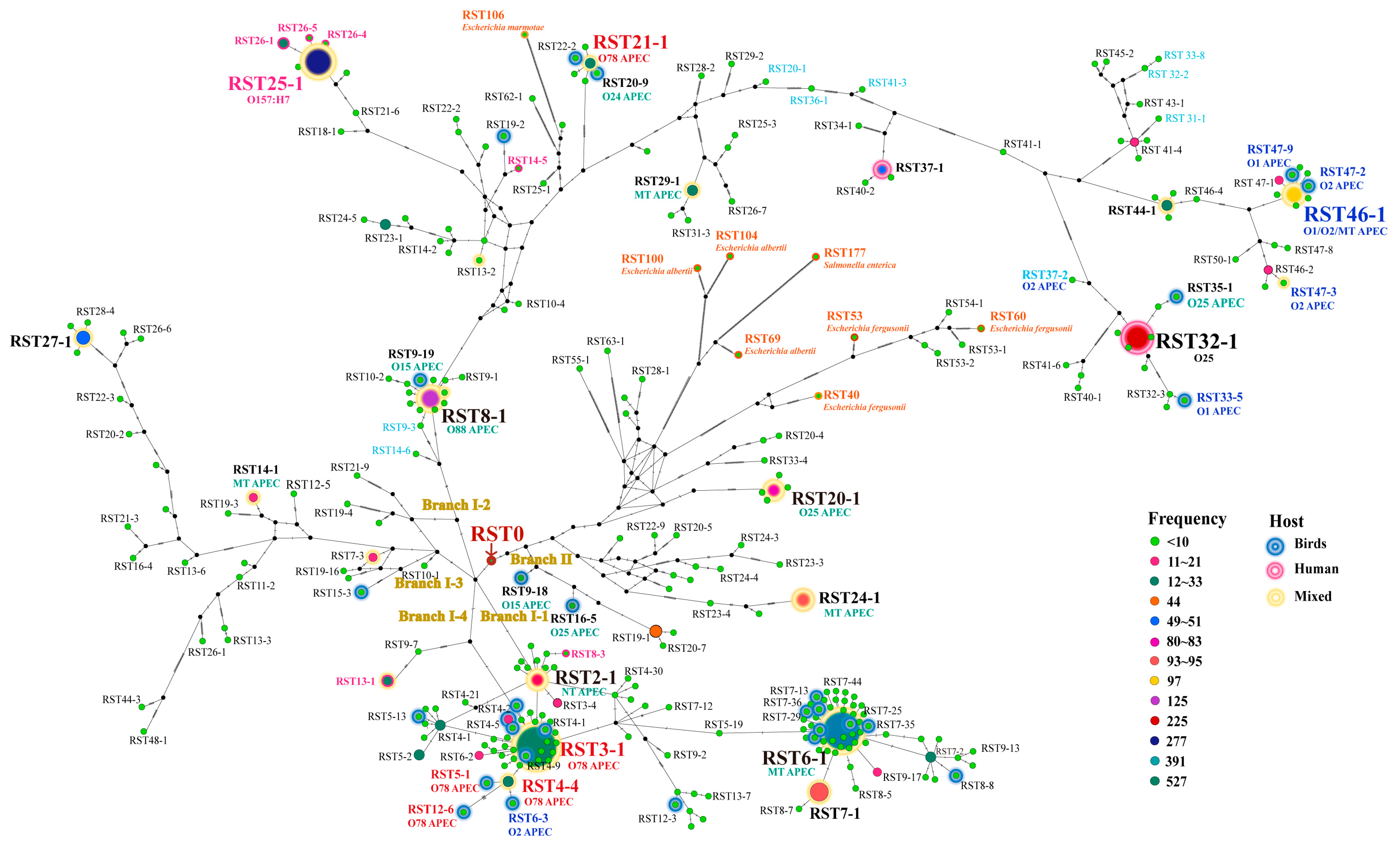 Antibiotics 12 01714 g001