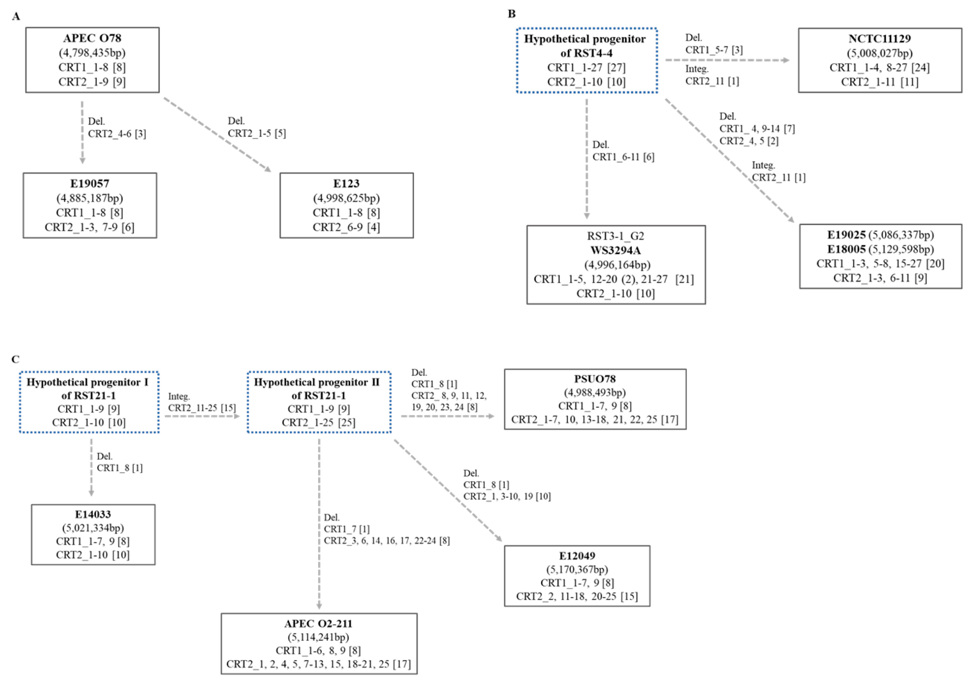 Antibiotics 12 01714 g003