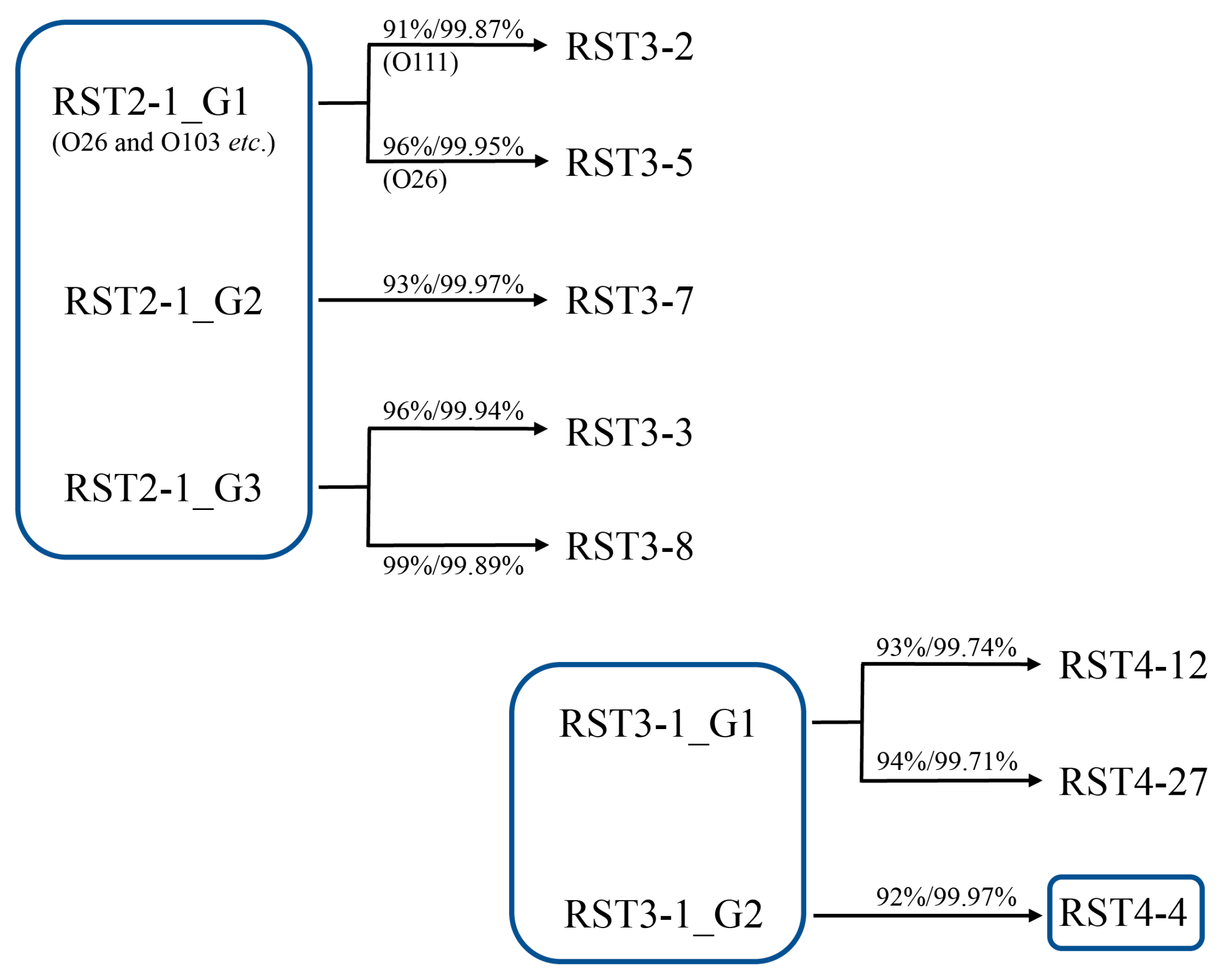 Antibiotics 12 01714 g004