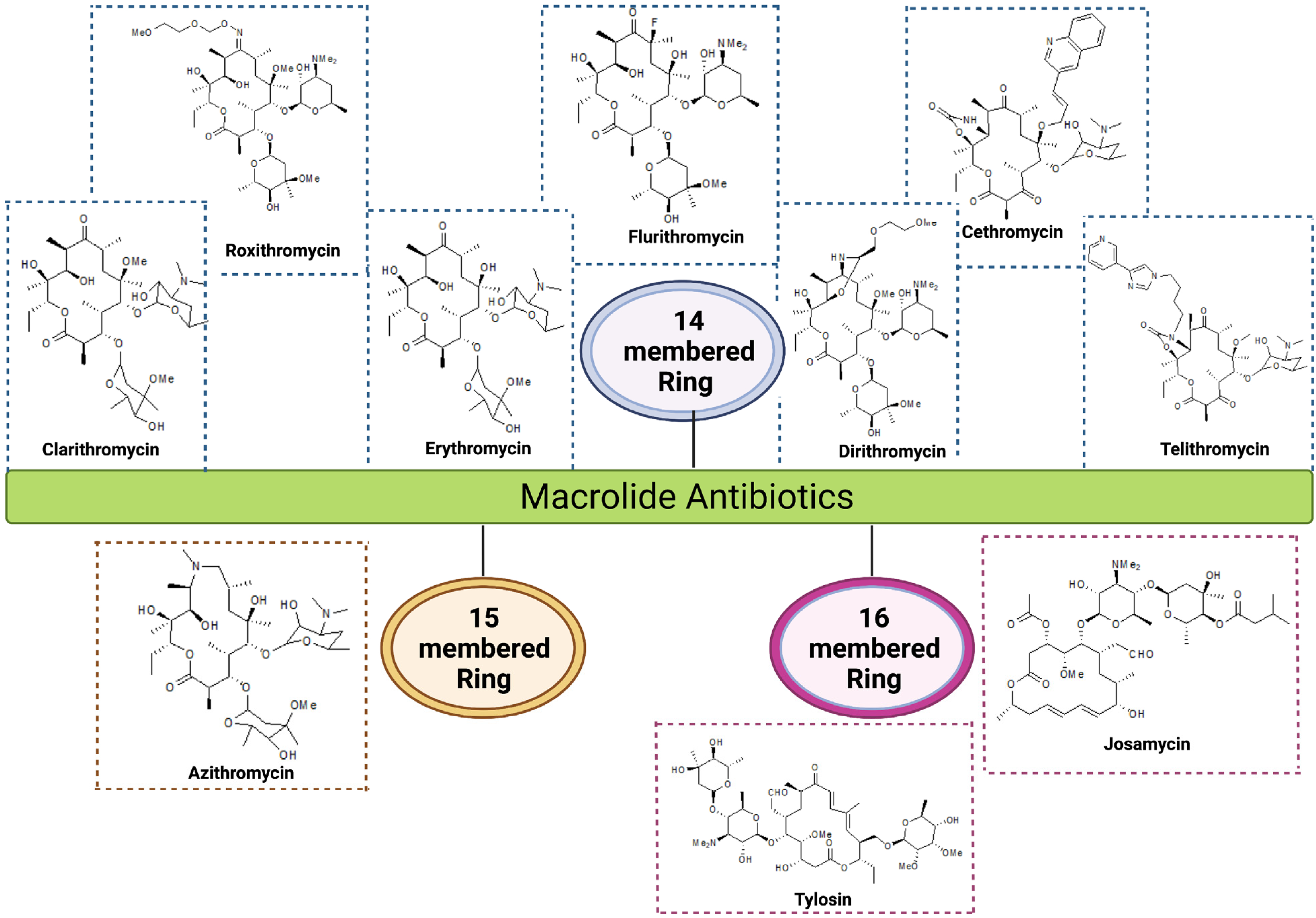 Antibiotics 12 01715 g001