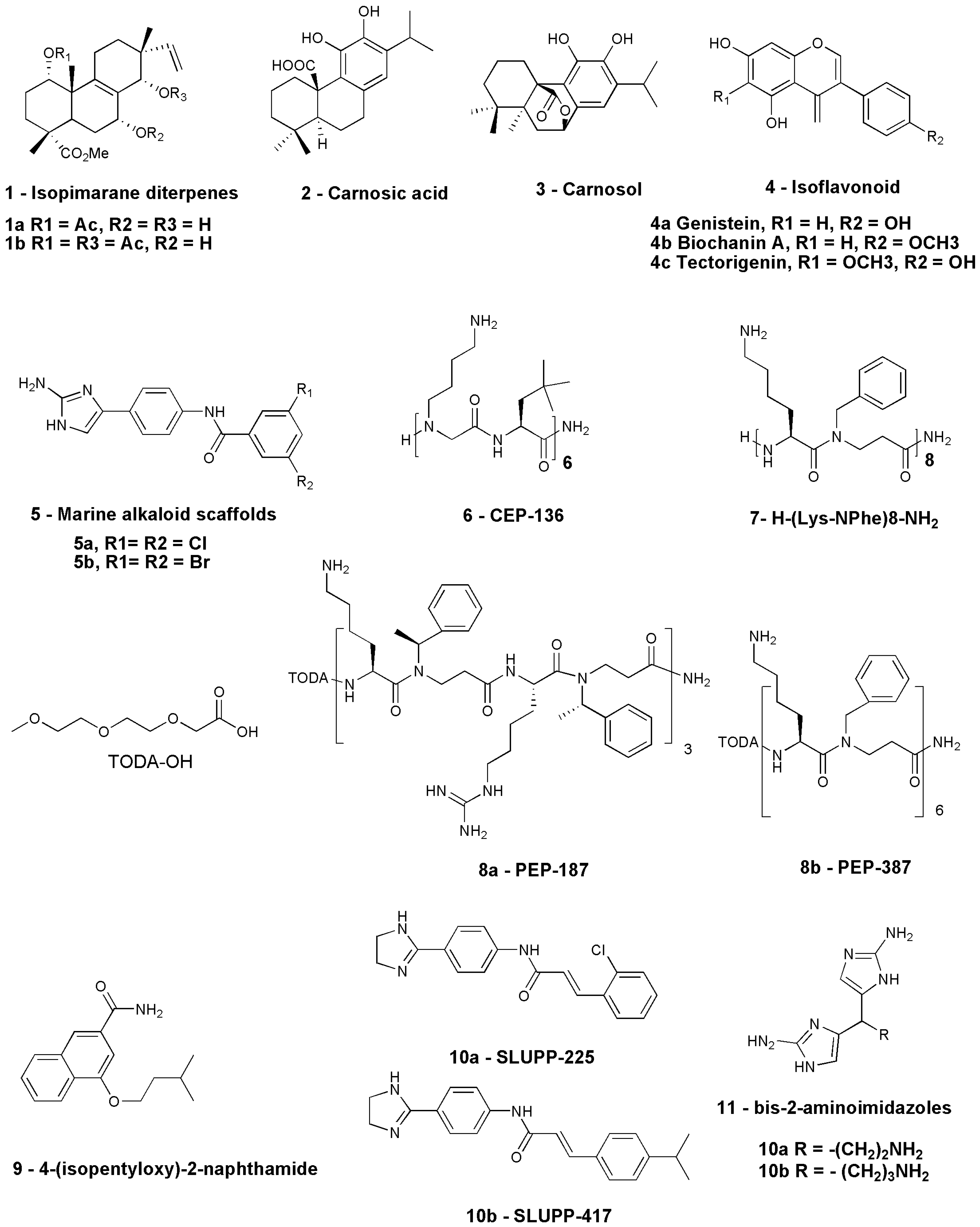 Antibiotics 12 01715 g003