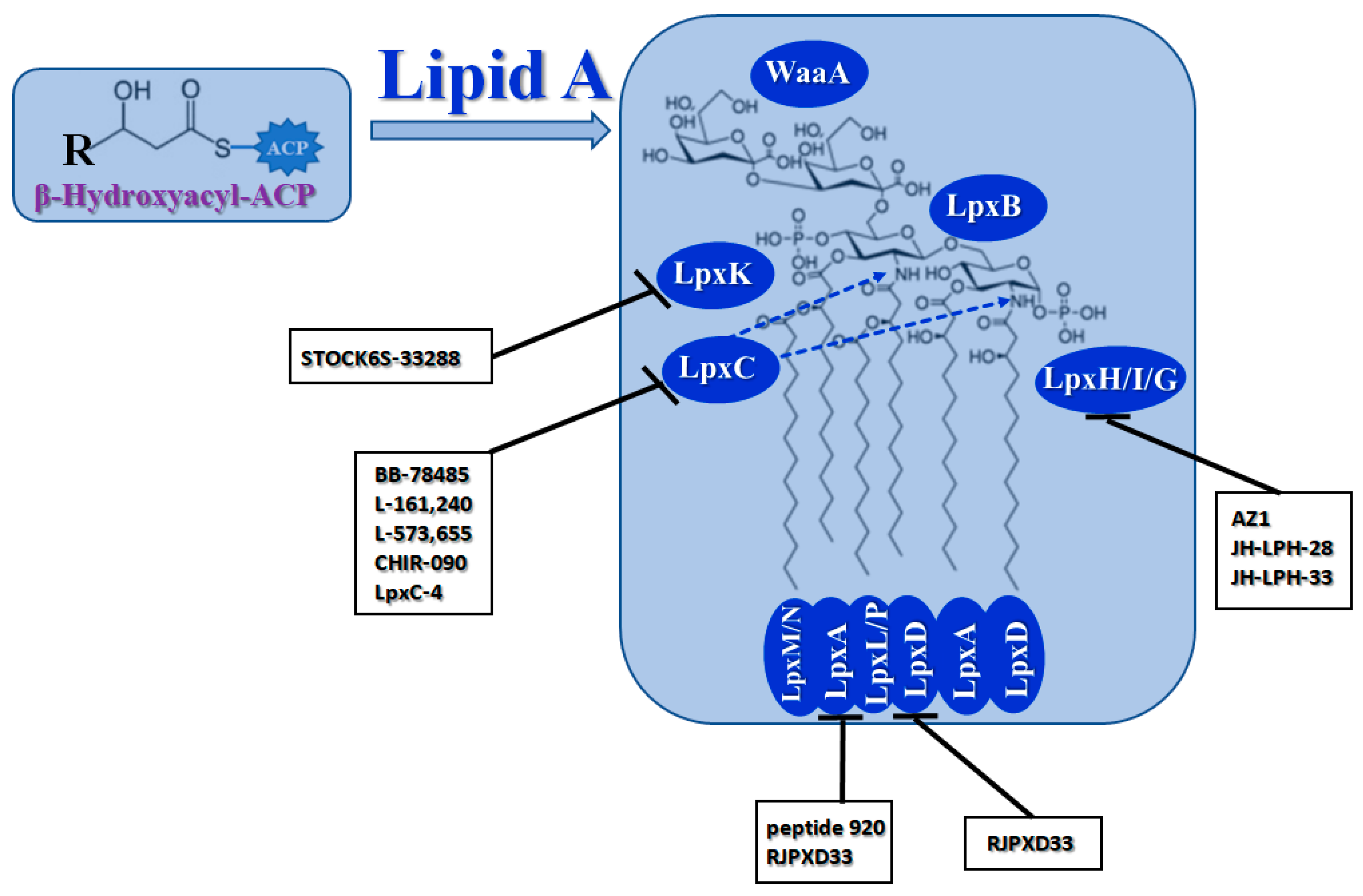 Antibiotics | Free Full-Text | Lipid-Centric Approaches in Combating  Infectious Diseases: Antibacterials, Antifungals and Antivirals with  Lipid-Associated Mechanisms of Action
