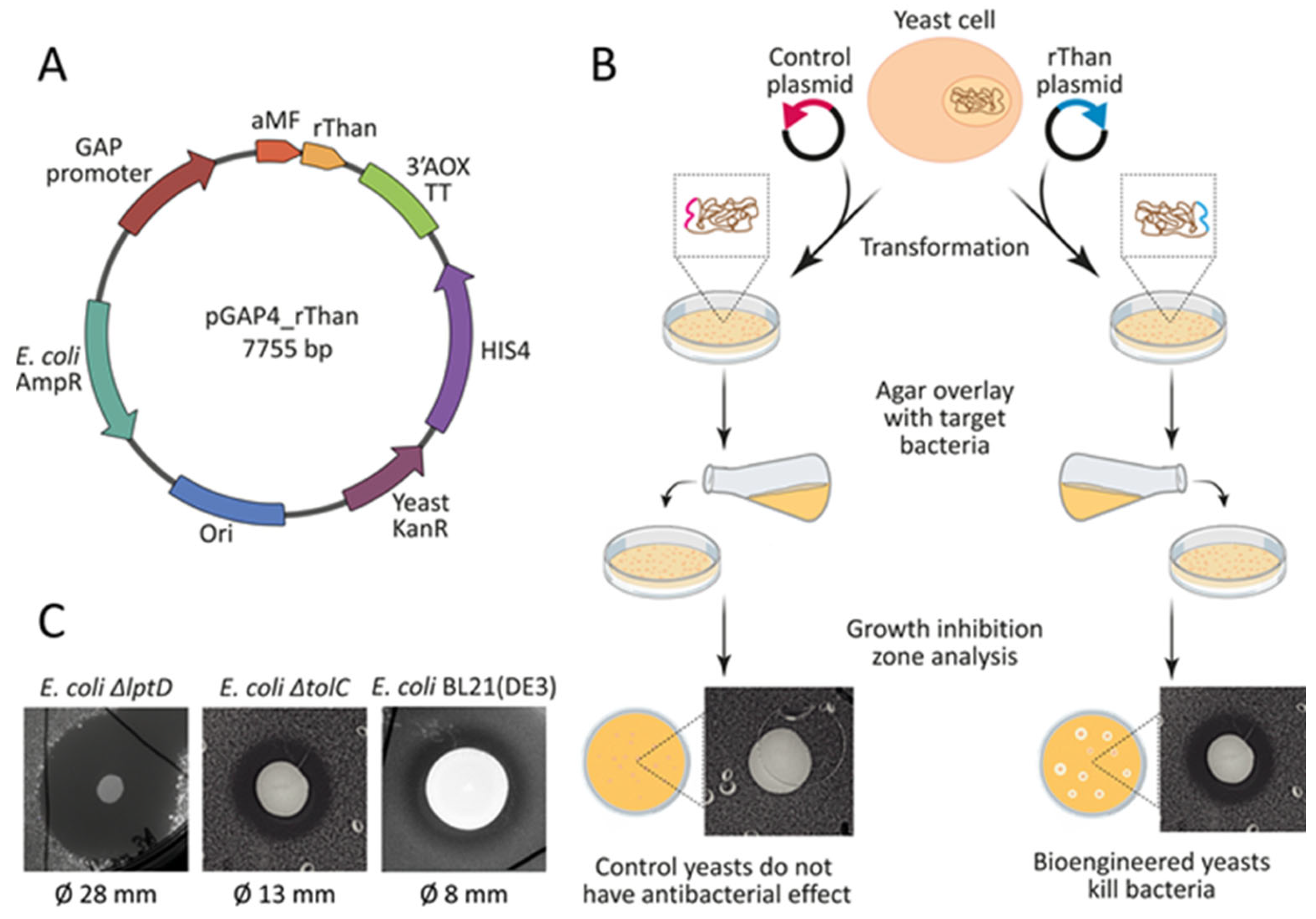 Antibiotics 12 01719 g001