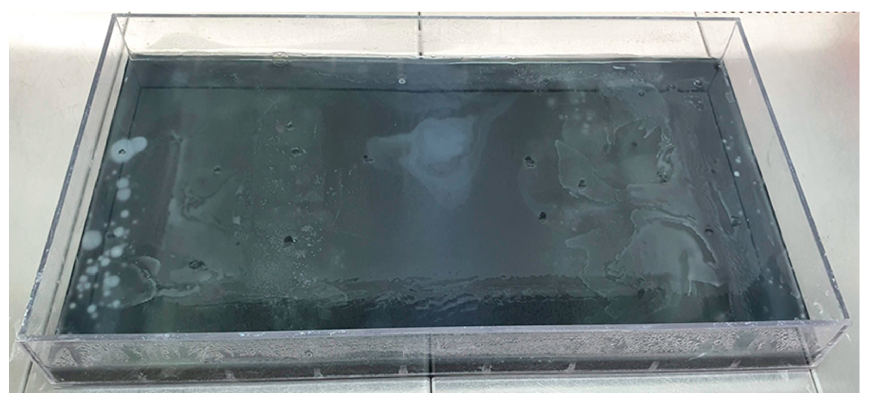 Antibiotics 12 01728 g004