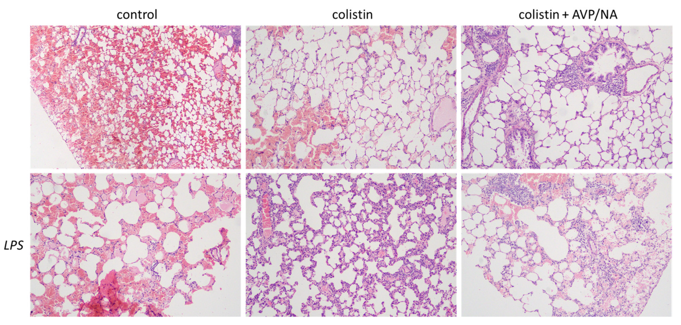 Antibiotics 12 01731 g001