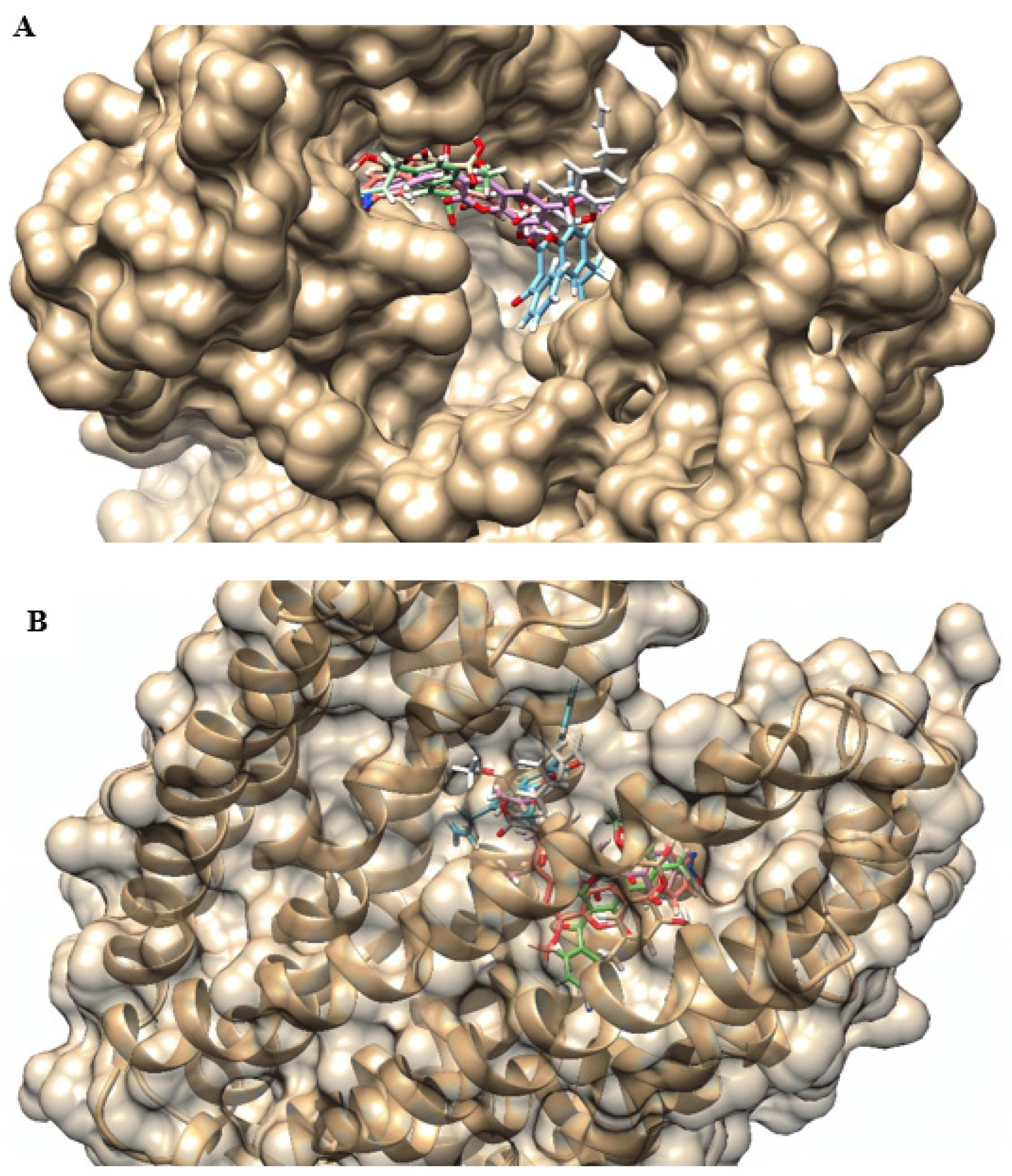 Antibiotics 12 01739 g007