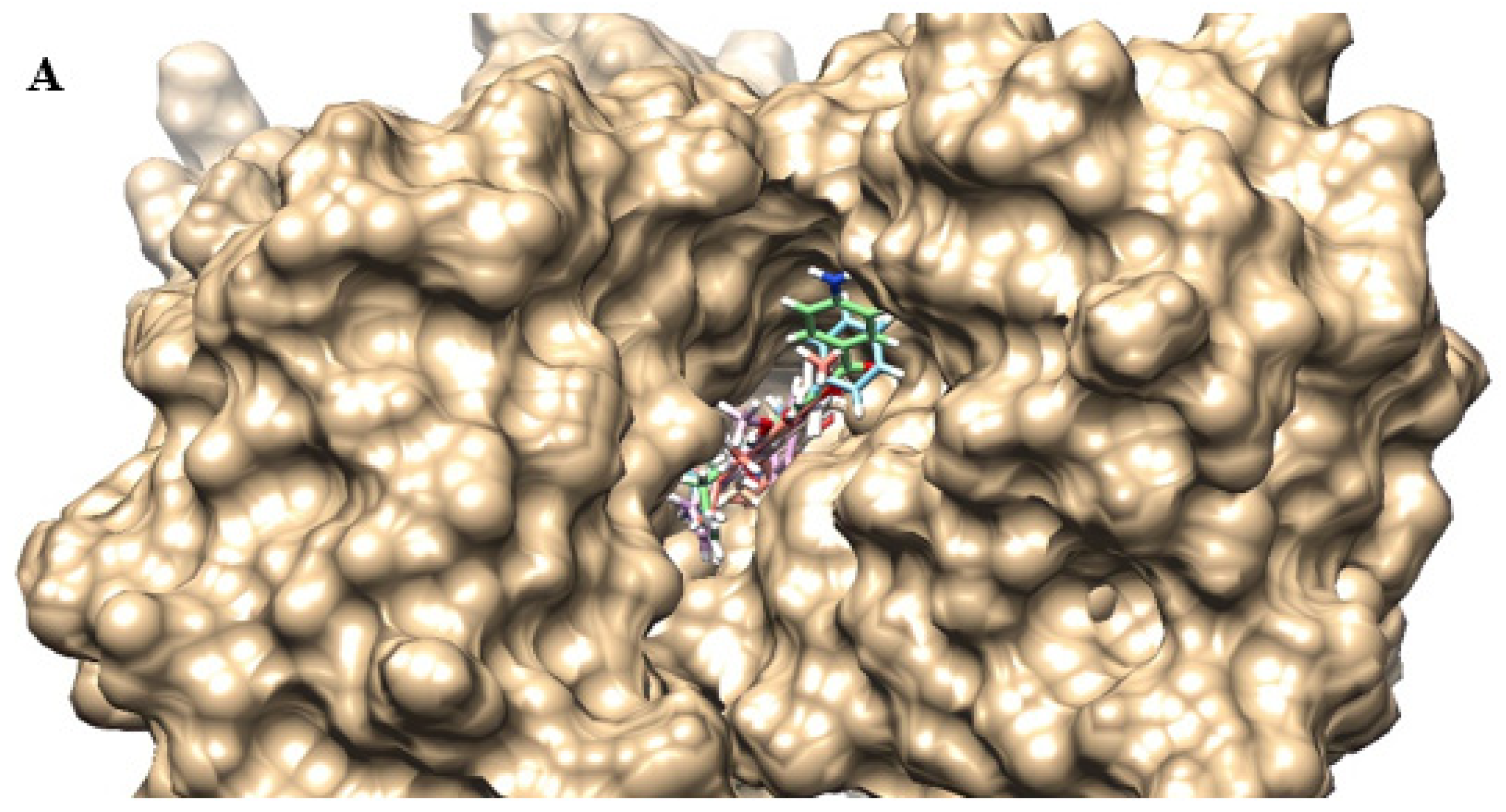 Antibiotics 12 01739 g009a