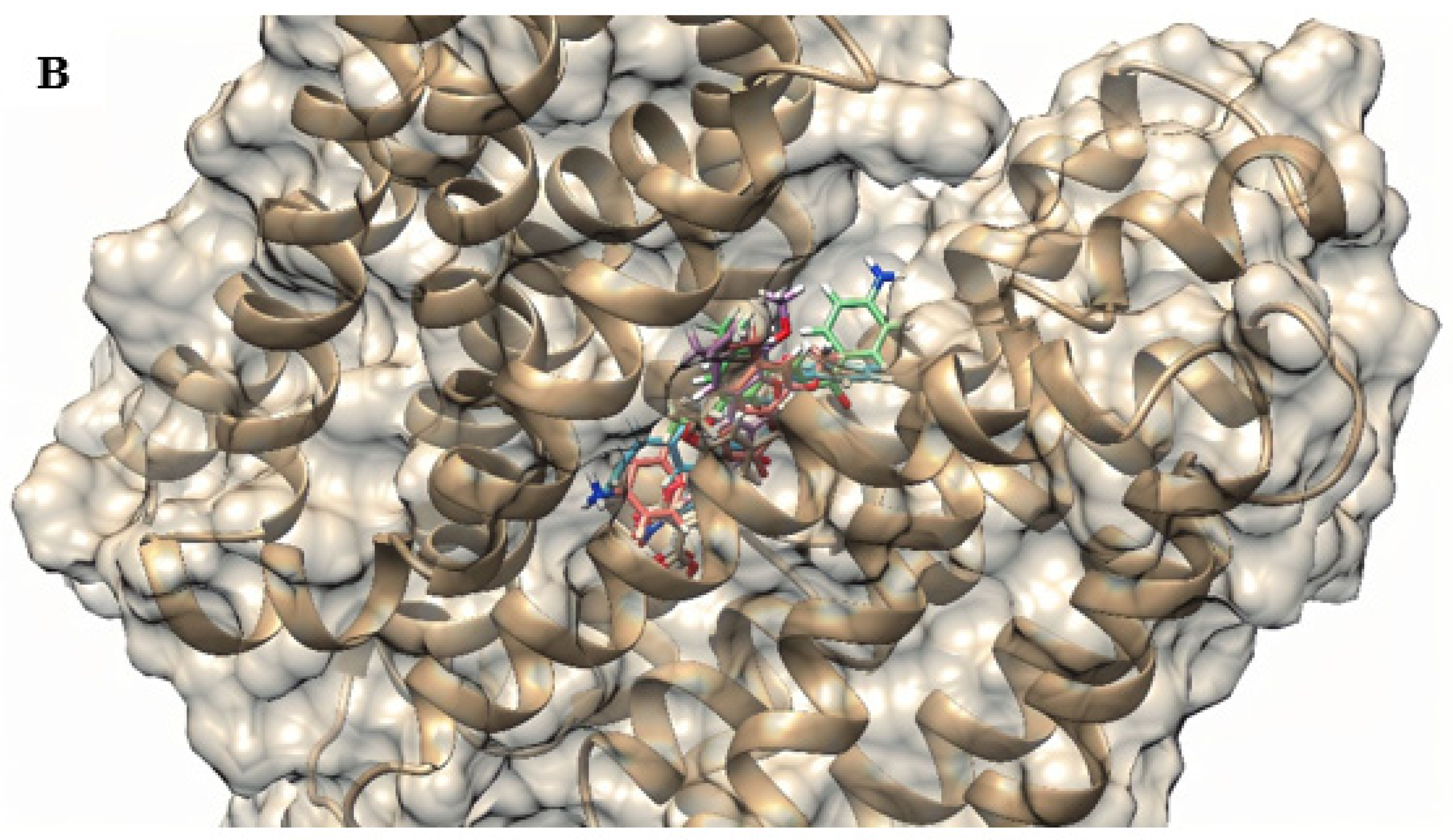 Antibiotics 12 01739 g009b