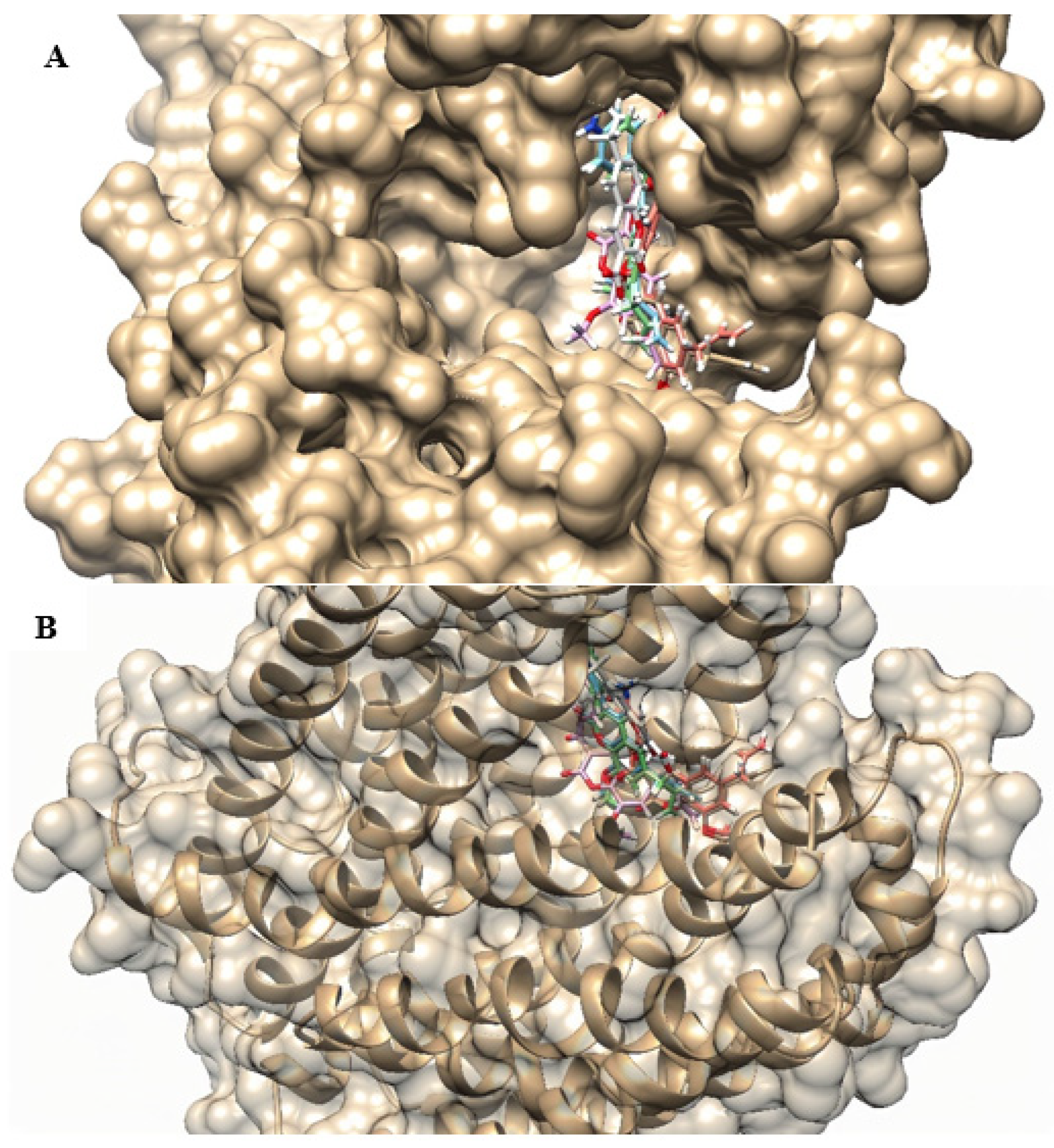 Antibiotics 12 01739 g011