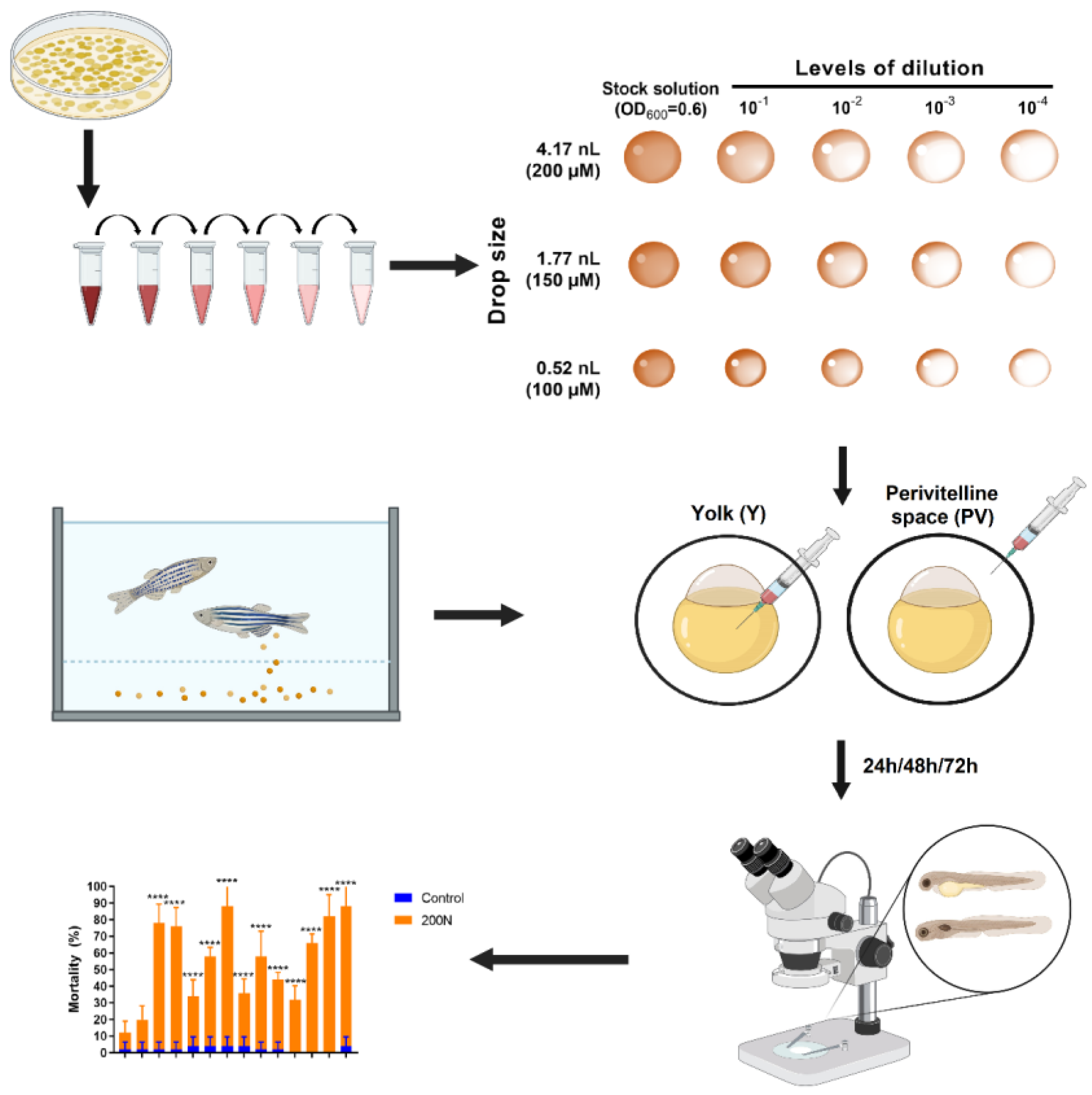 Antibiotics 12 01740 g001