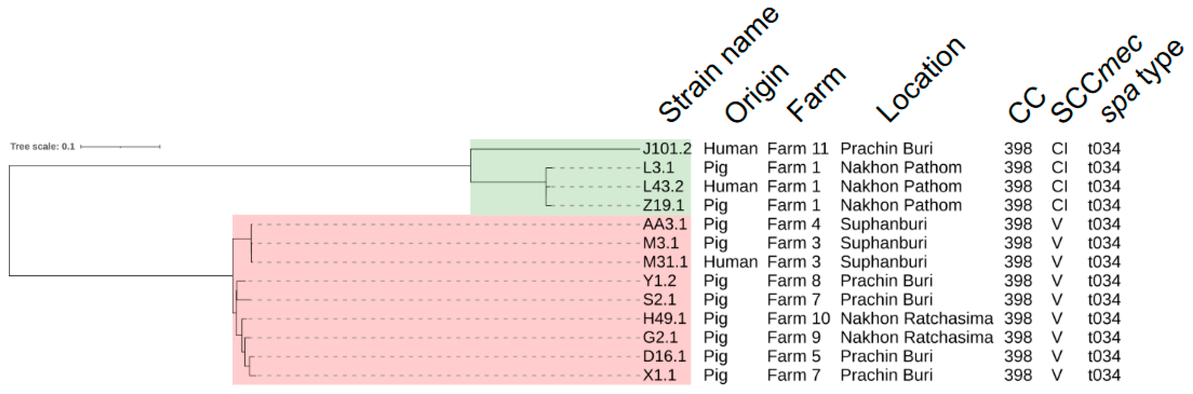 Antibiotics 12 01745 g001