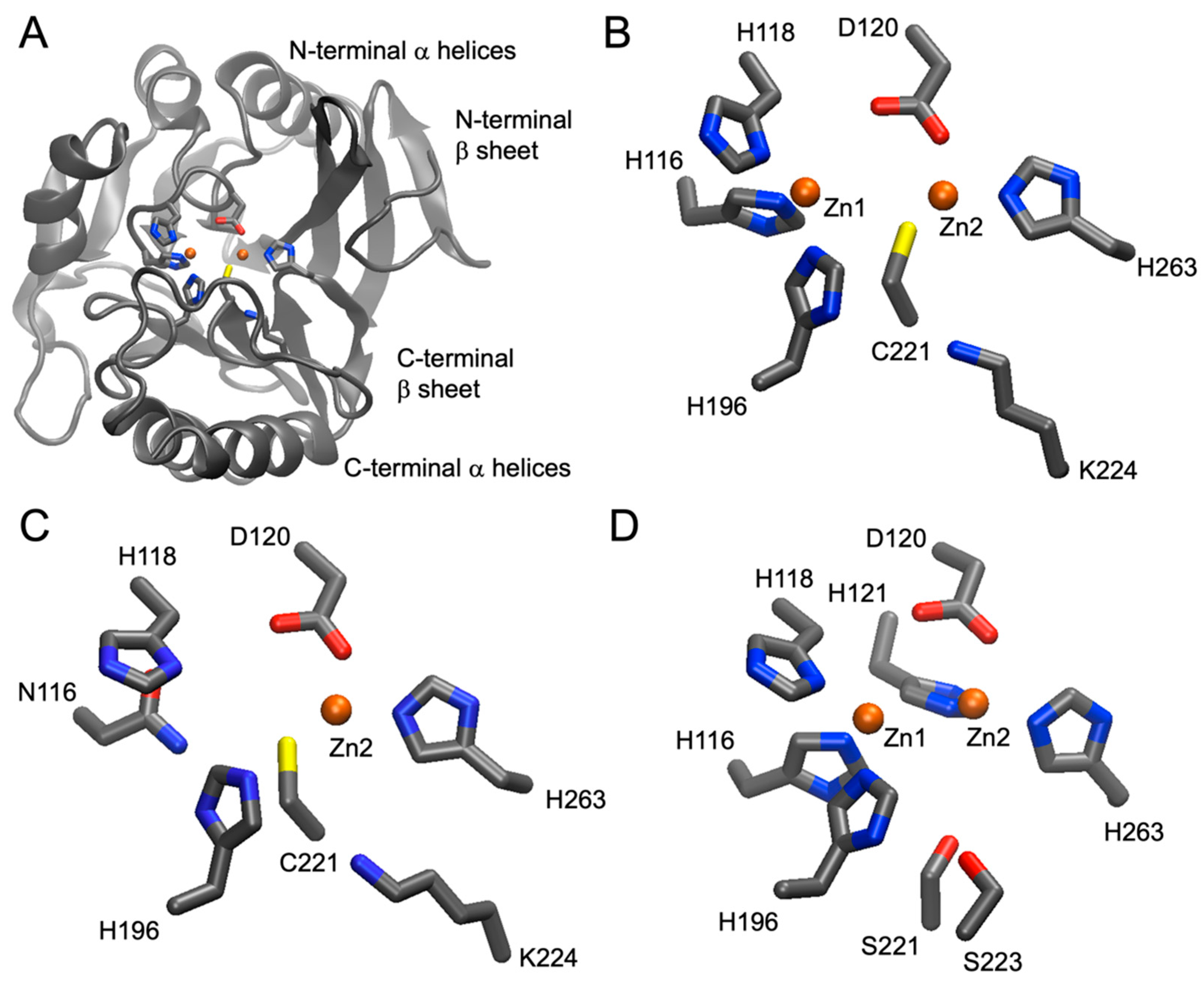 Antibiotics 12 01746 g001 Antibiotics 12 01746 g001