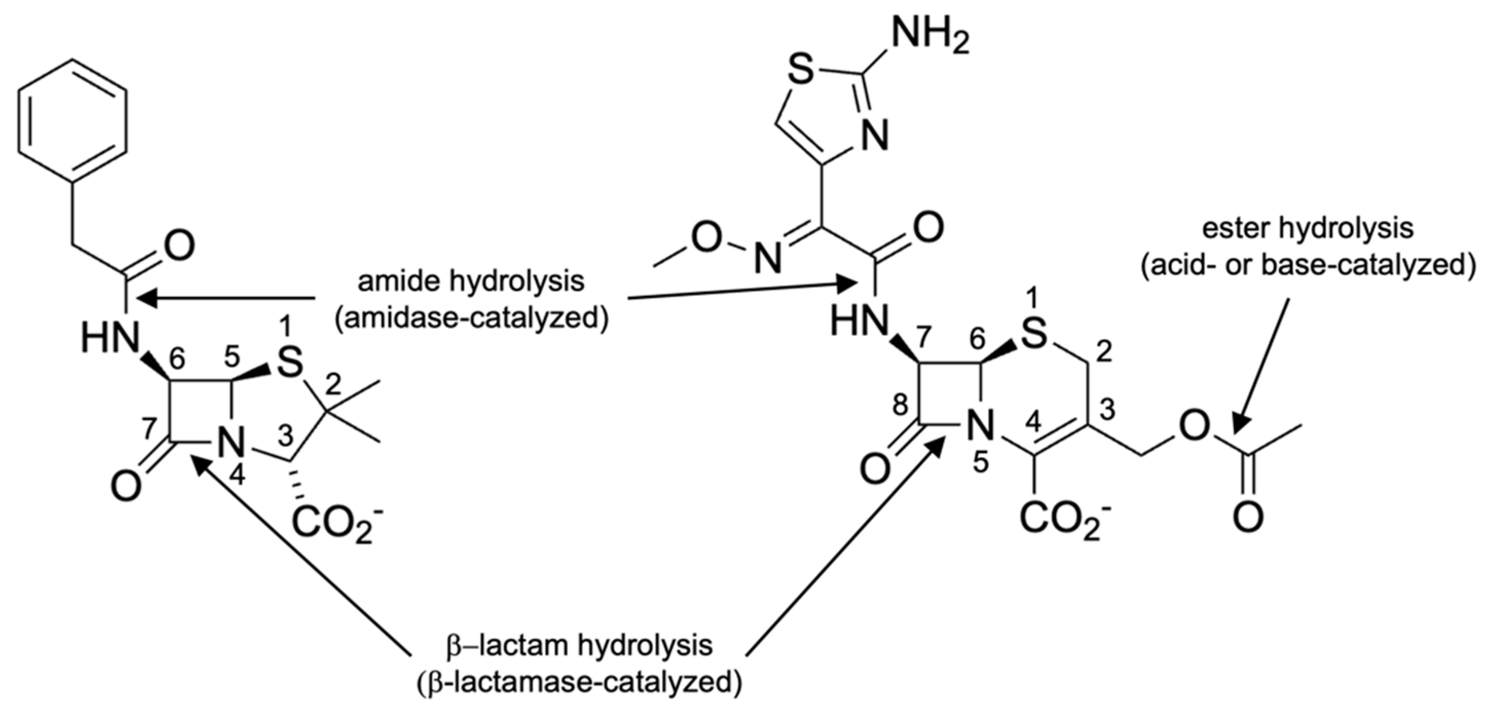Antibiotics 12 01746 g002 Antibiotics 12 01746 g002
