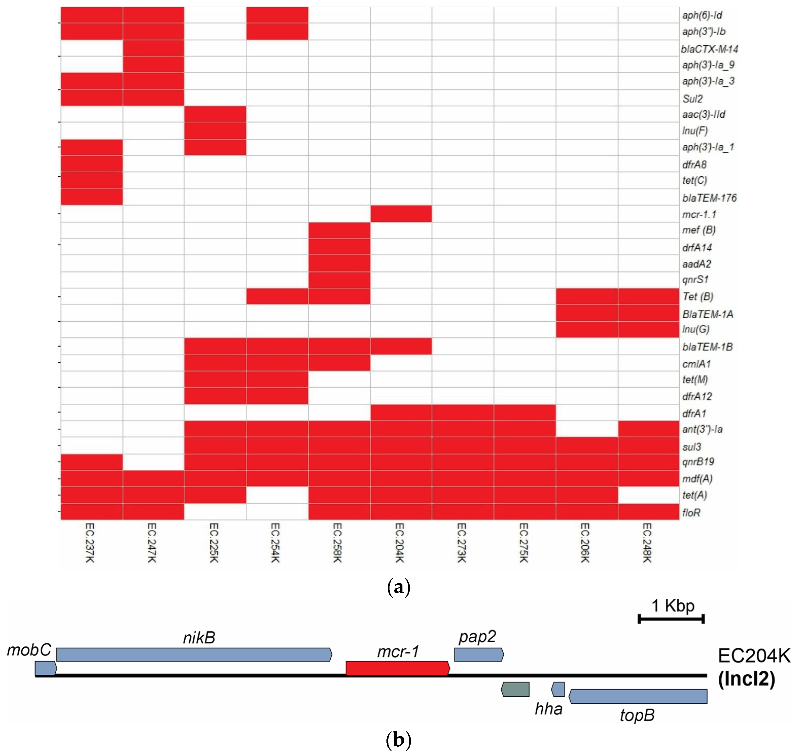 Antibiotics 12 01748 g001