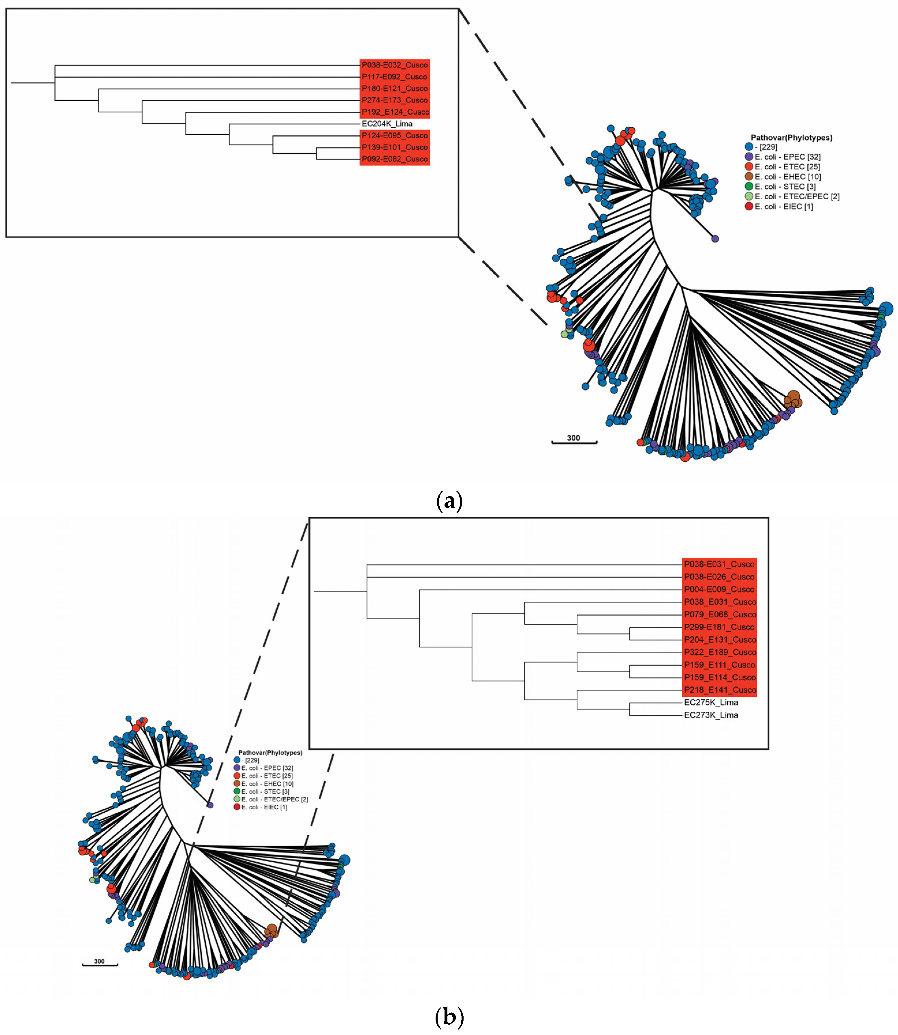 Antibiotics 12 01748 g003