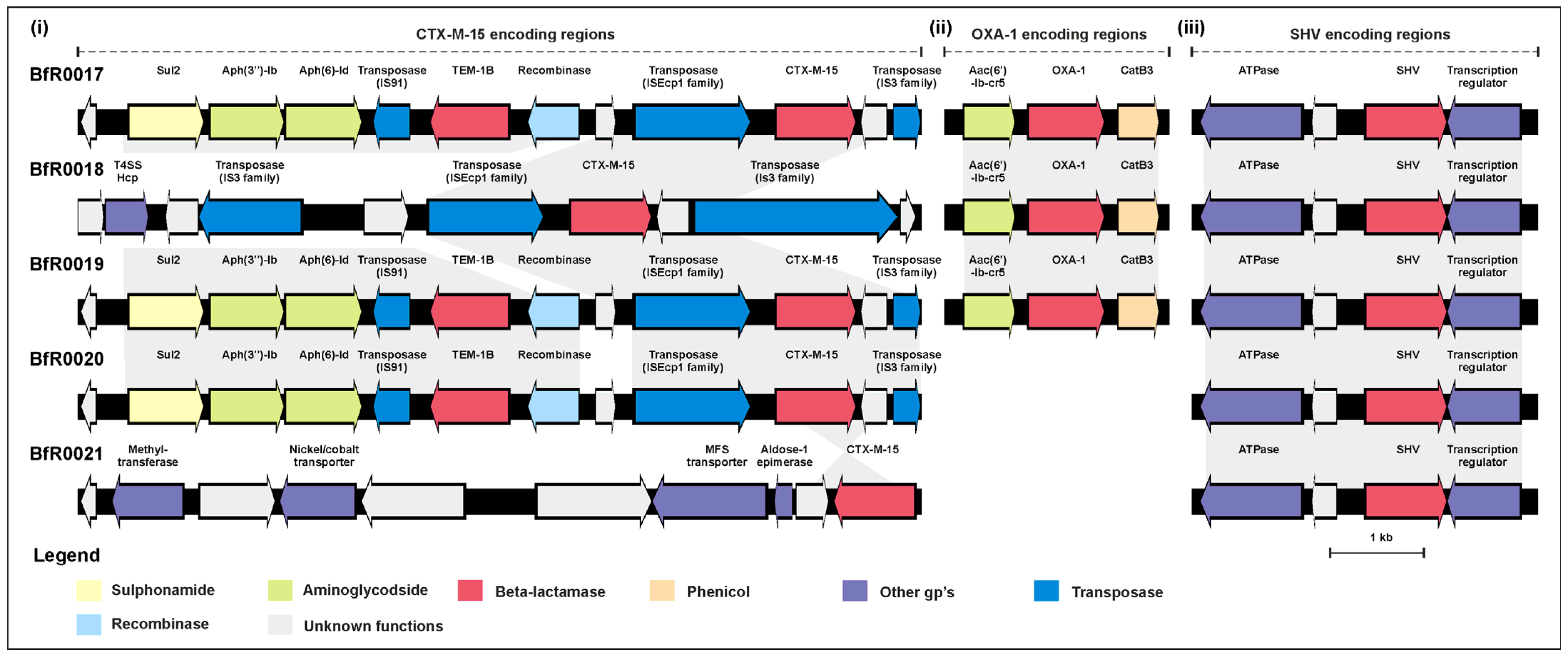 Antibiotics 13 00014 g002 Antibiotics 13 00014 g002