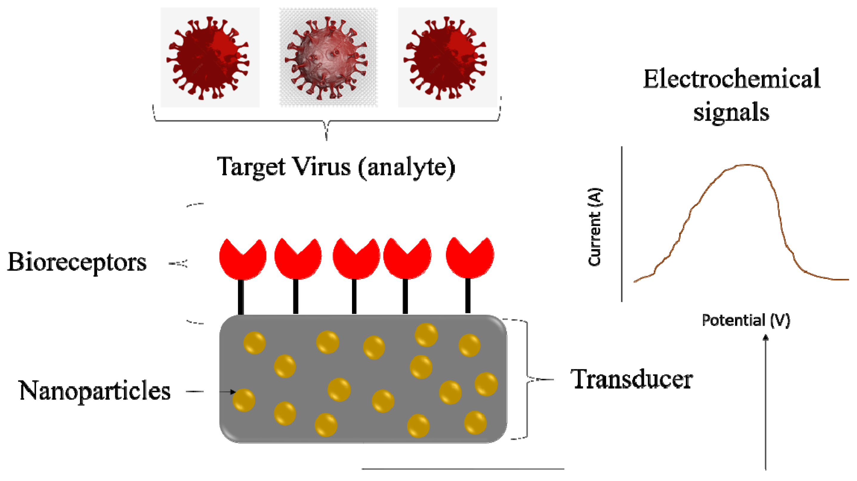 Antibiotics 13 00017 g002
