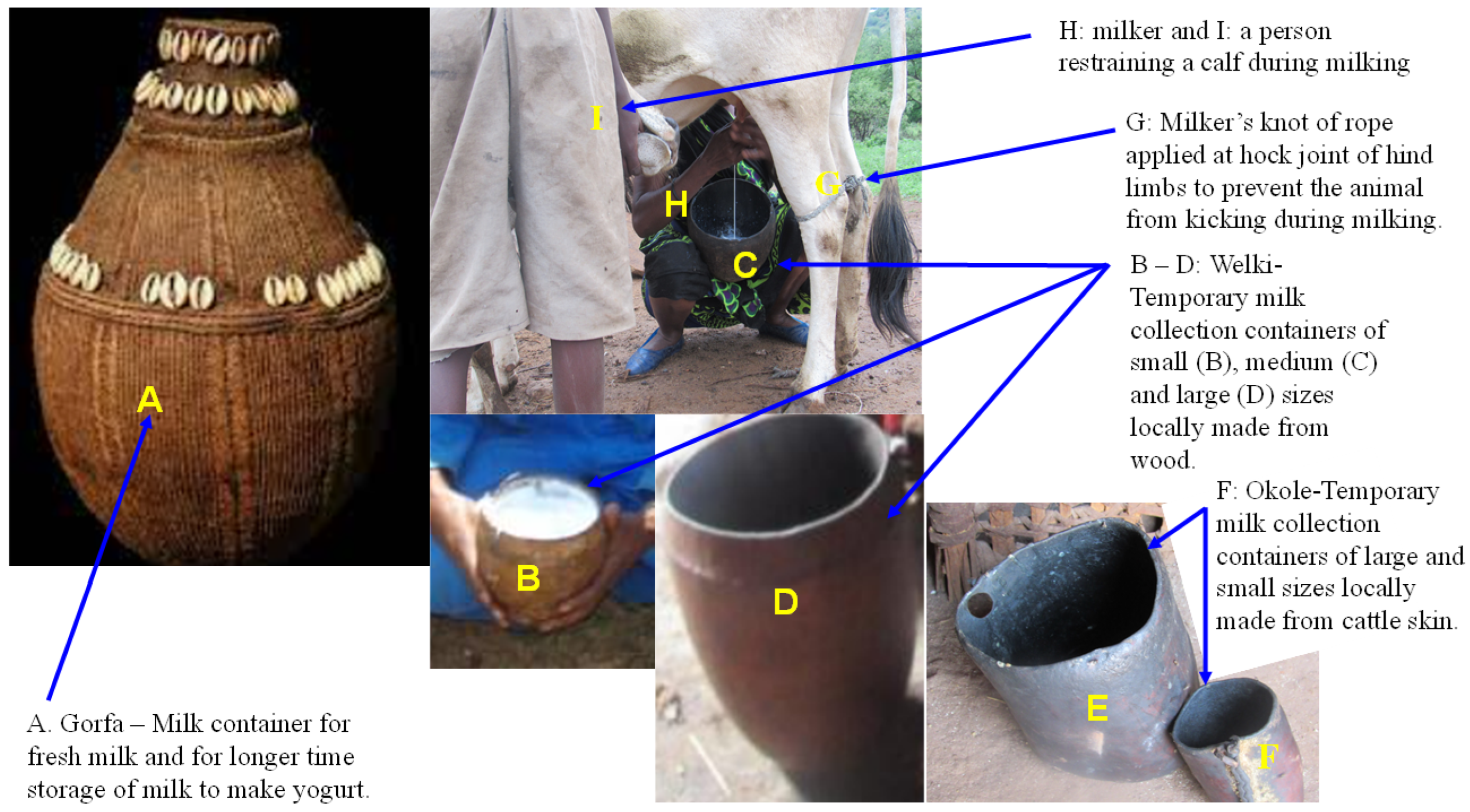 Antibiotics 13 00026 g002 Antibiotics 13 00026 g002