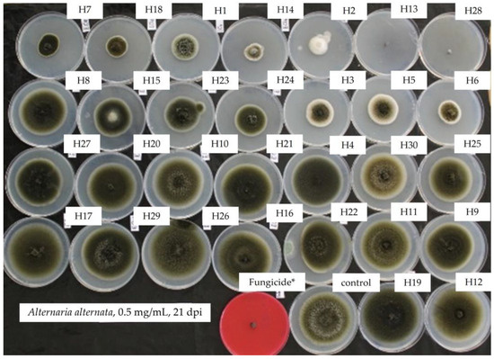A￼ccept / No Substitute The Effect of Neuronal CoQ10 Deficiency and Mitochondrial