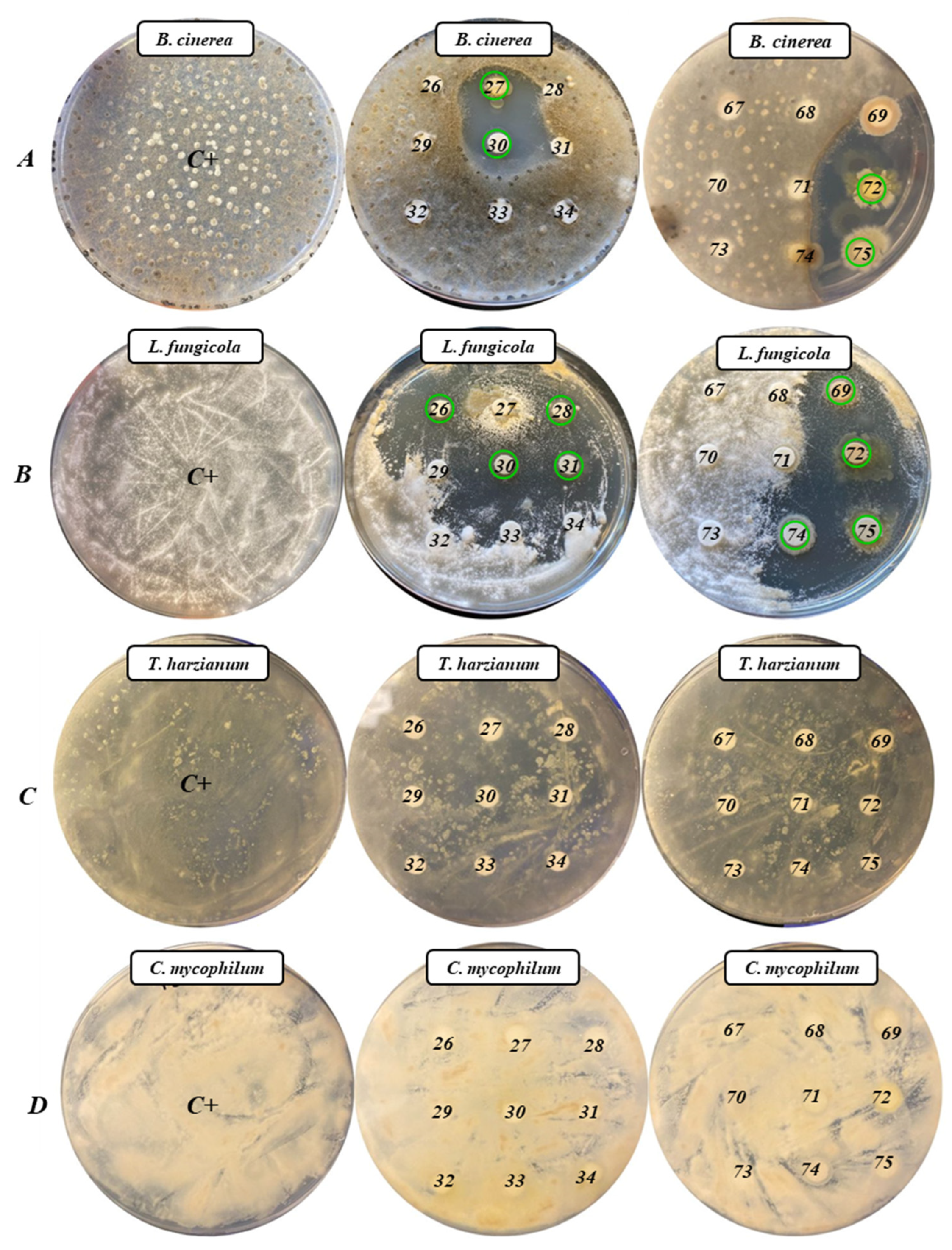 Antibiotics 13 00029 g002
