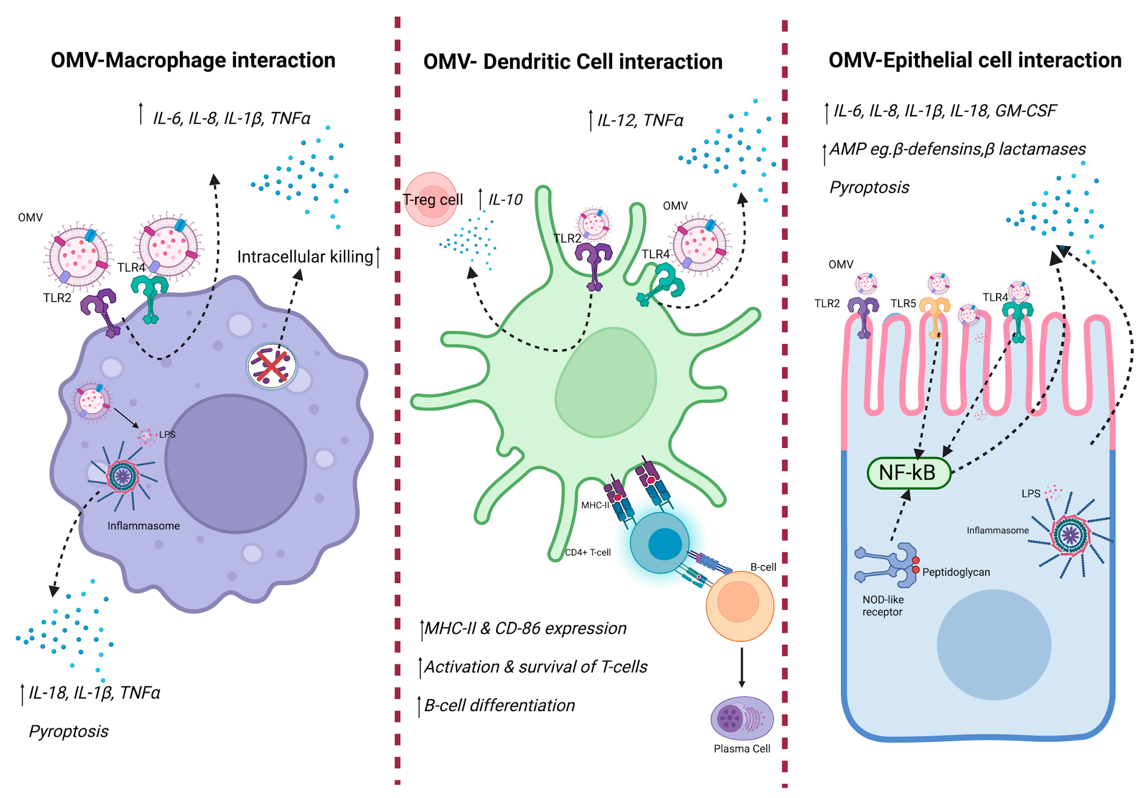 Antibiotics 13 00032 g002 Antibiotics 13 00032 g002