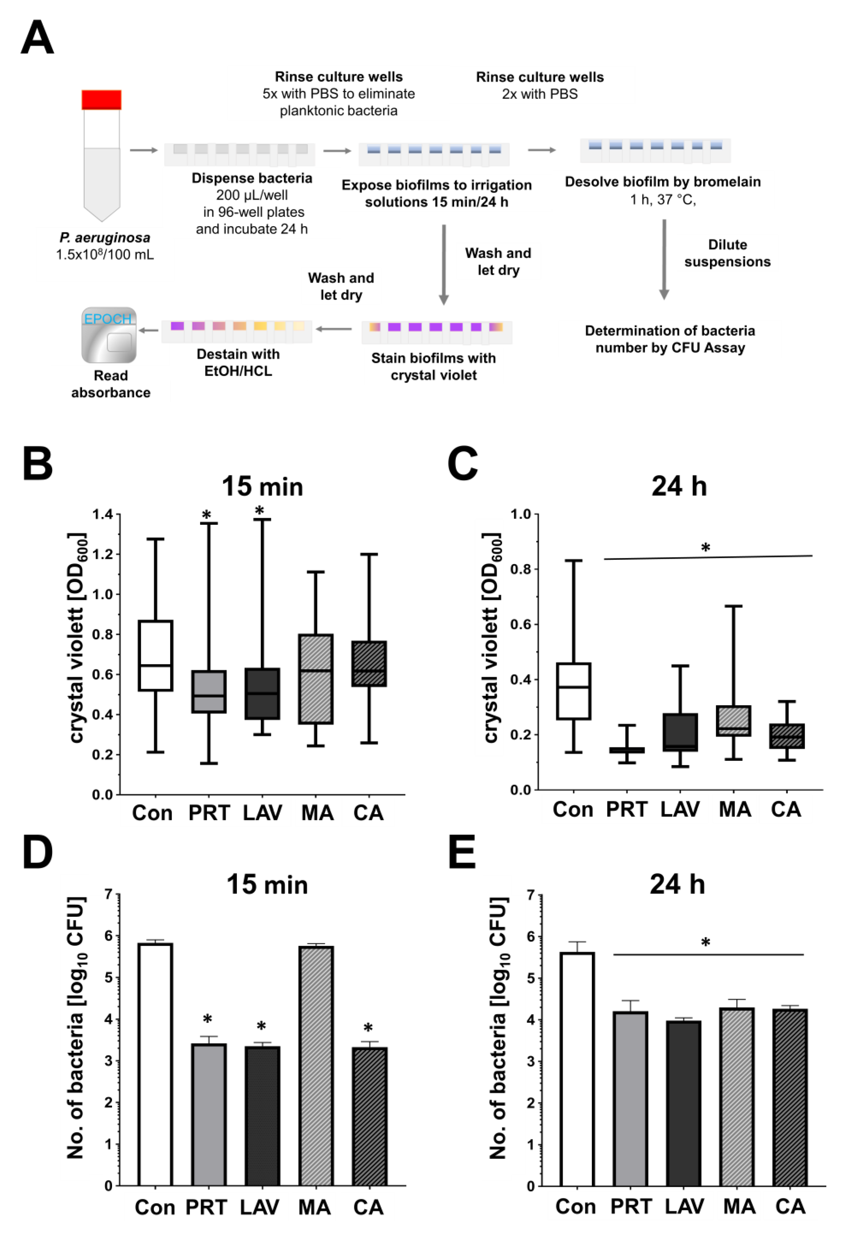 Antibiotics 13 00042 g002