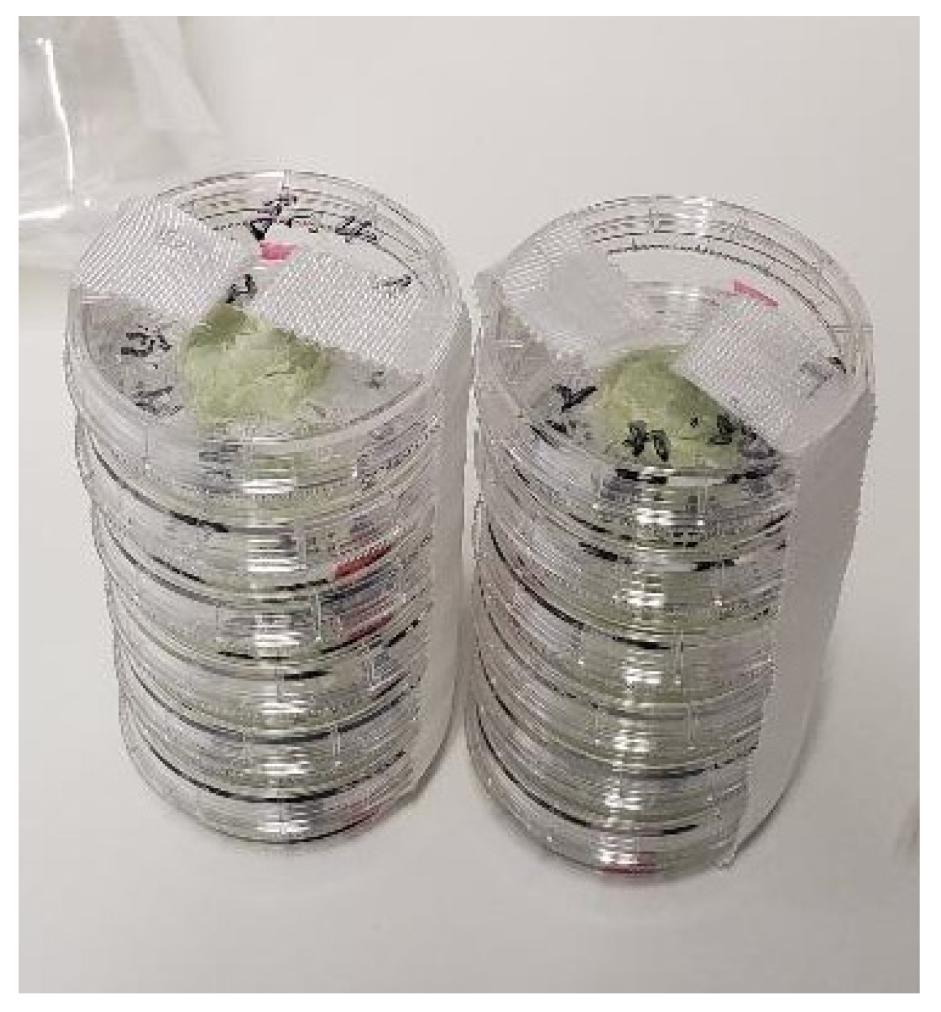 Antibiotics 13 00044 g006