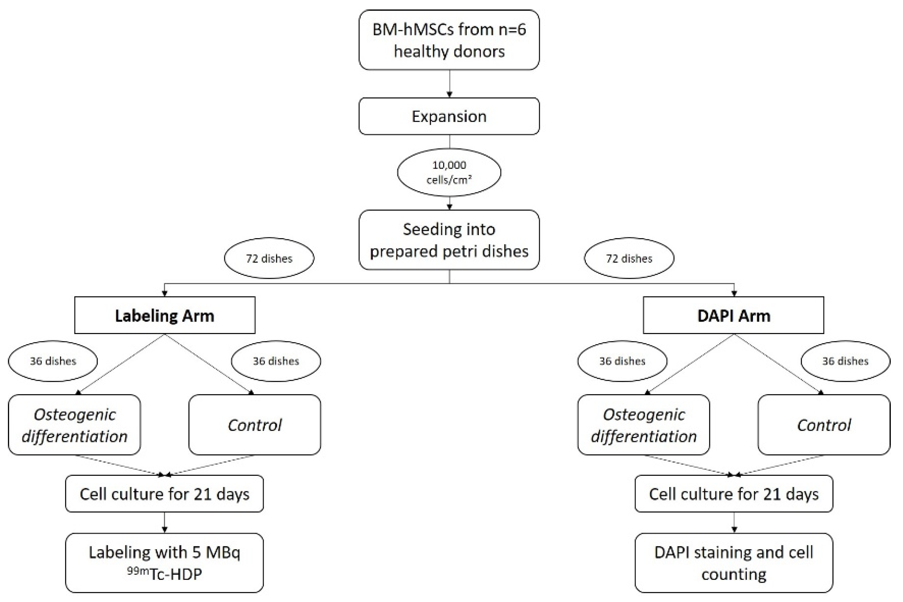 Antibiotics 13 00044 g007