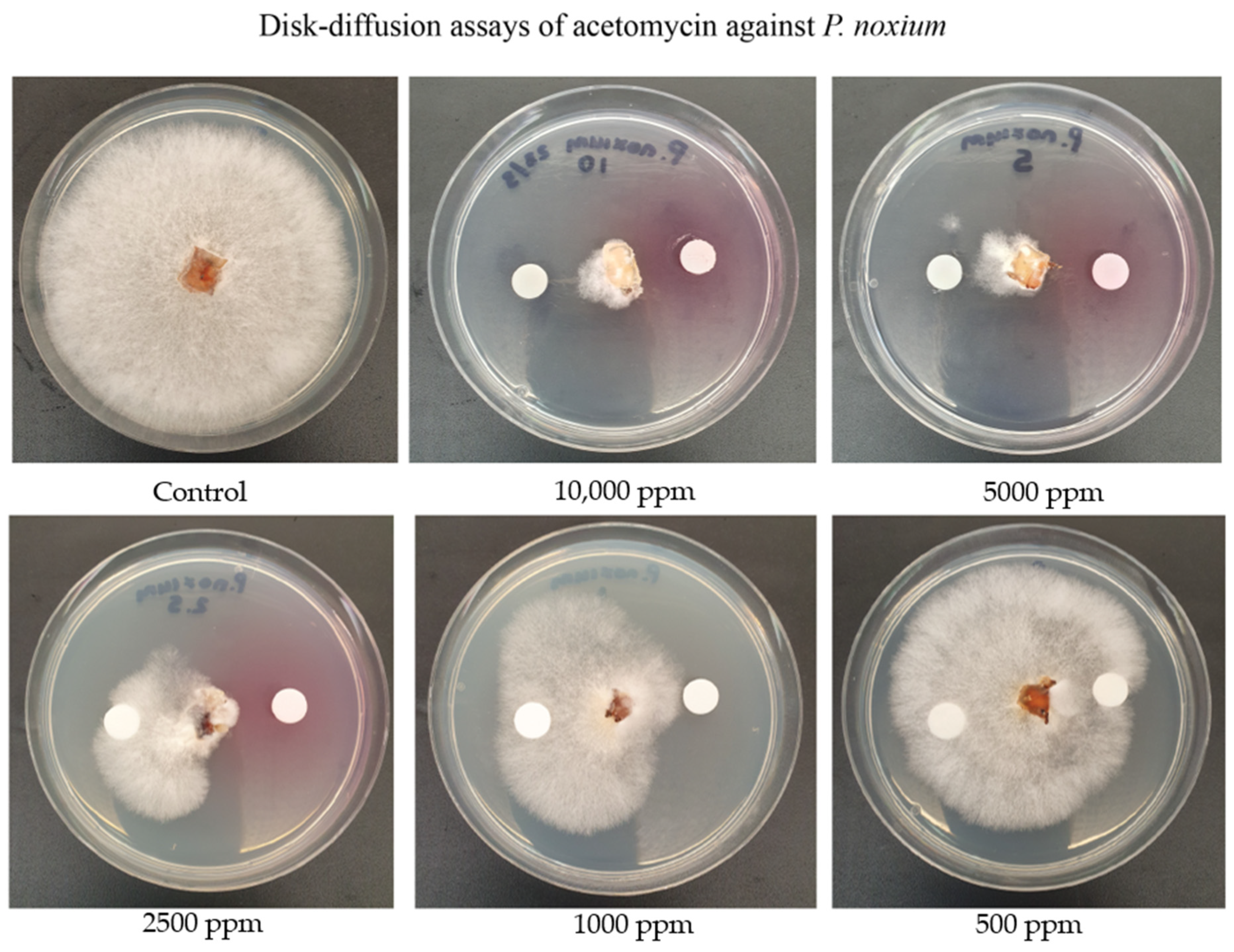 Antibiotics 13 00045 g005