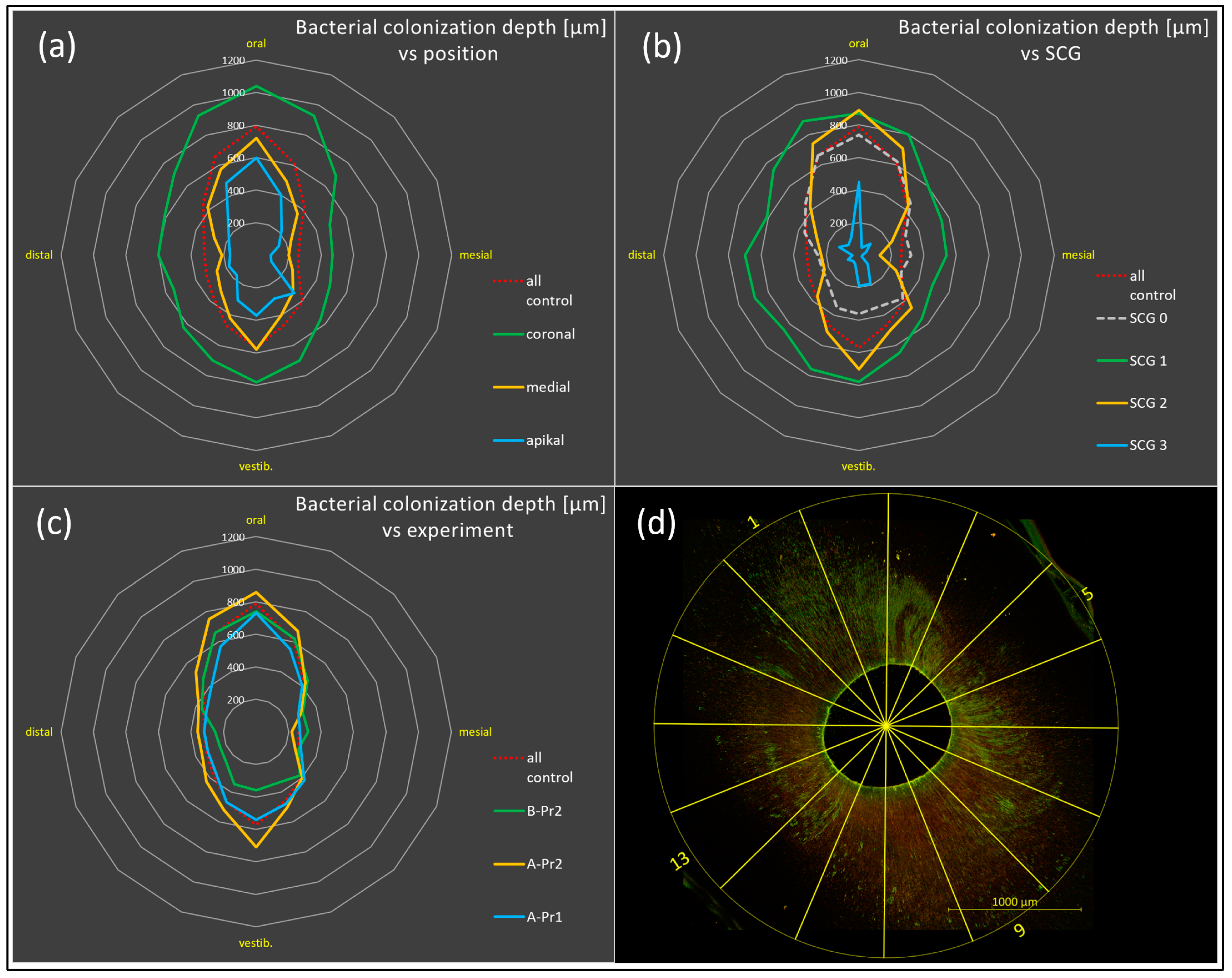 Antibiotics 13 00054 g005