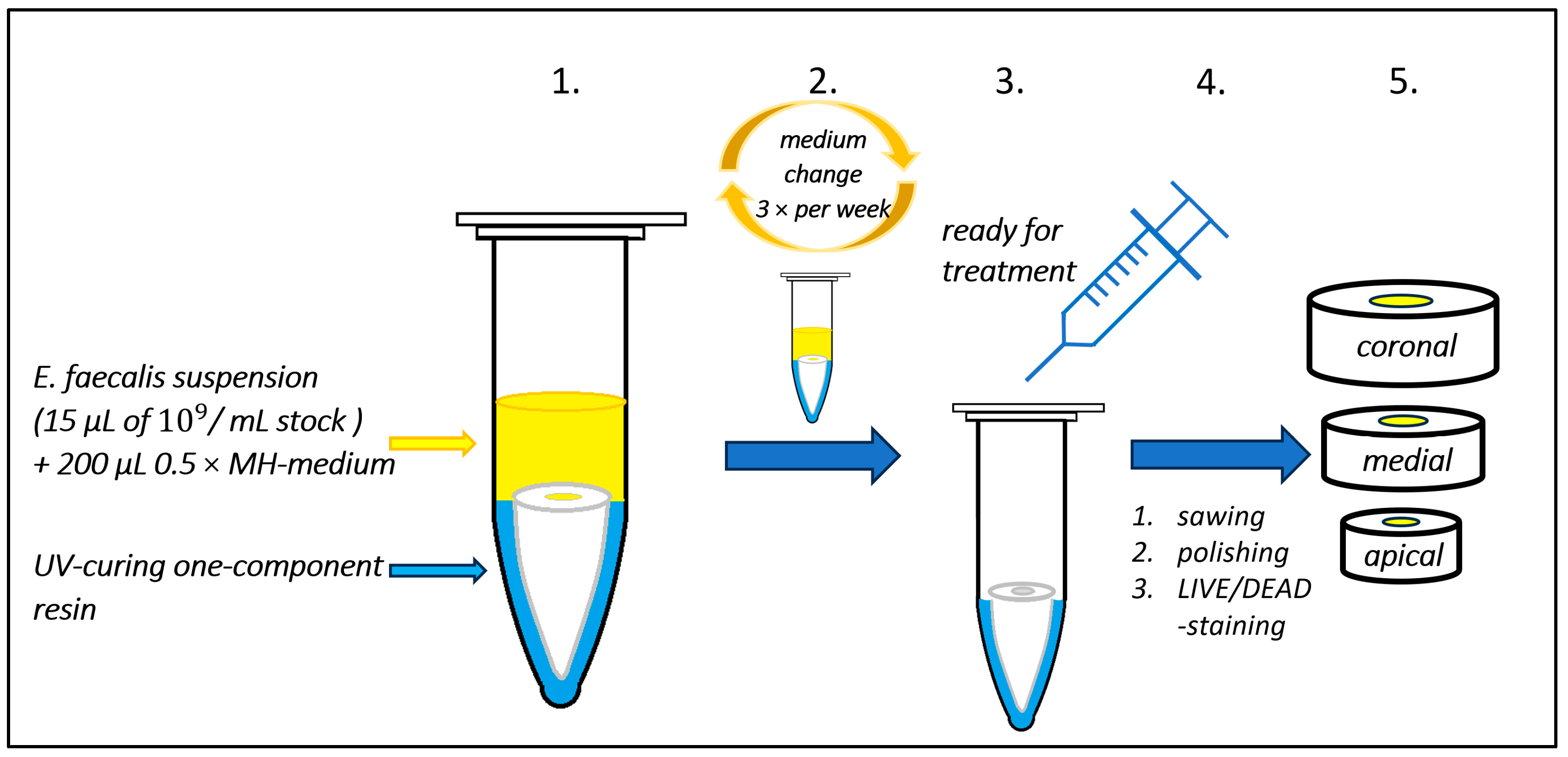 Antibiotics 13 00054 g008