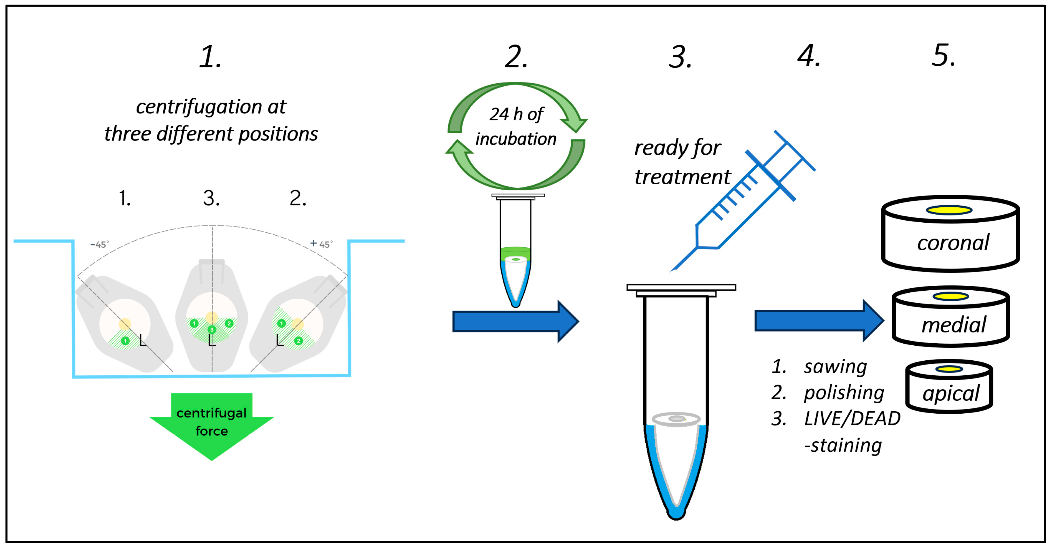 Antibiotics 13 00054 g009