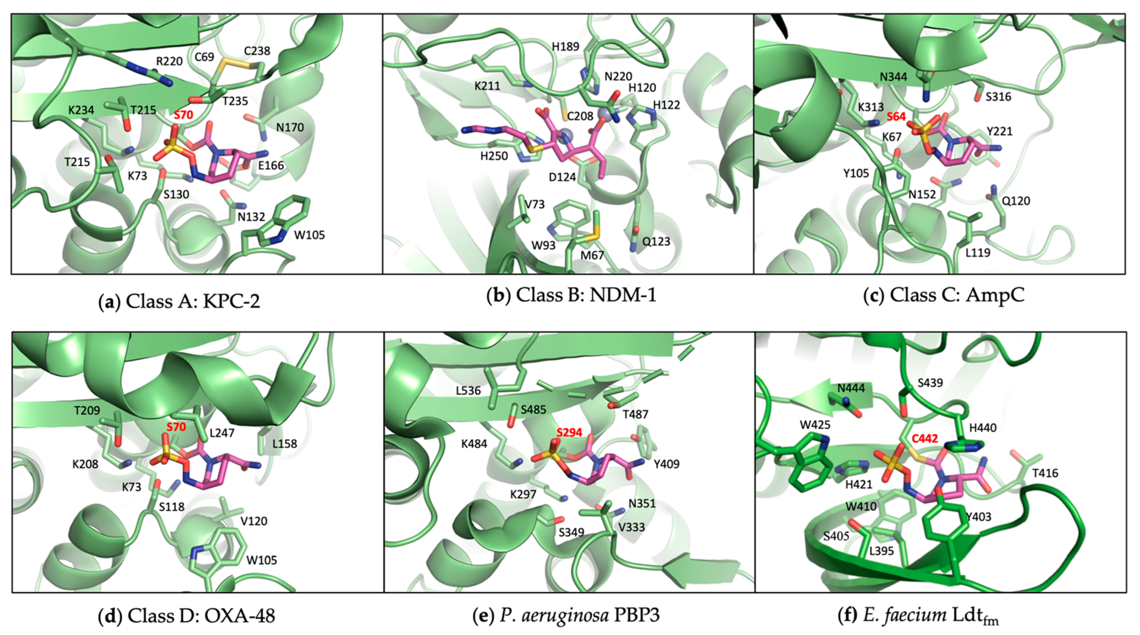 Antibiotics 13 00059 g004 Antibiotics 13 00059 g004