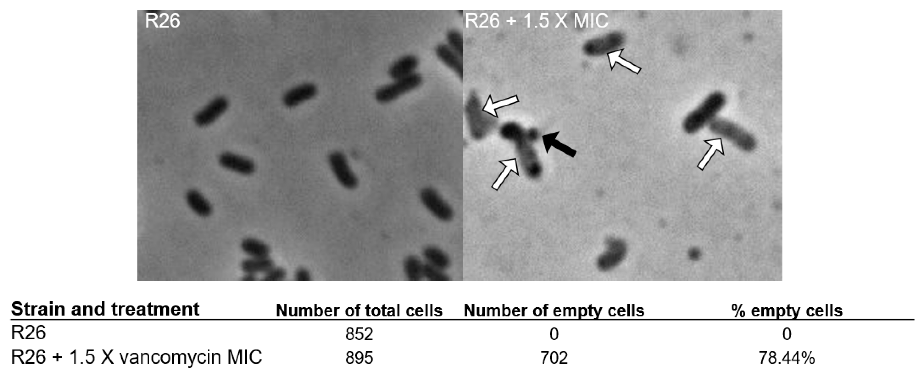Antibiotics 13 00061 g001 Antibiotics 13 00061 g001