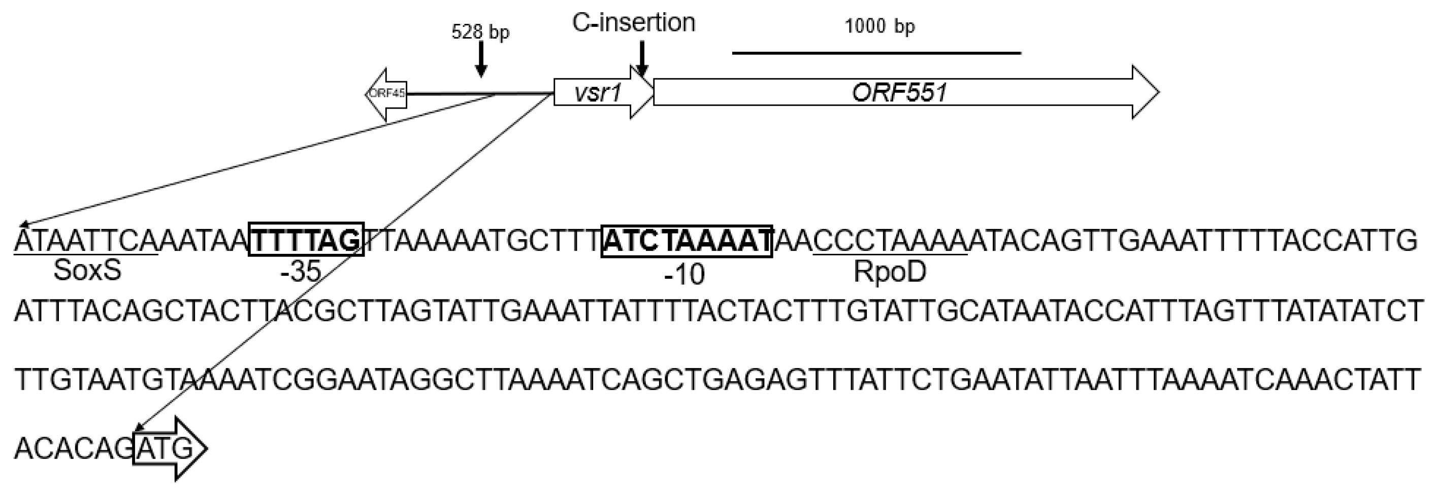 Antibiotics 13 00061 g003 Antibiotics 13 00061 g003