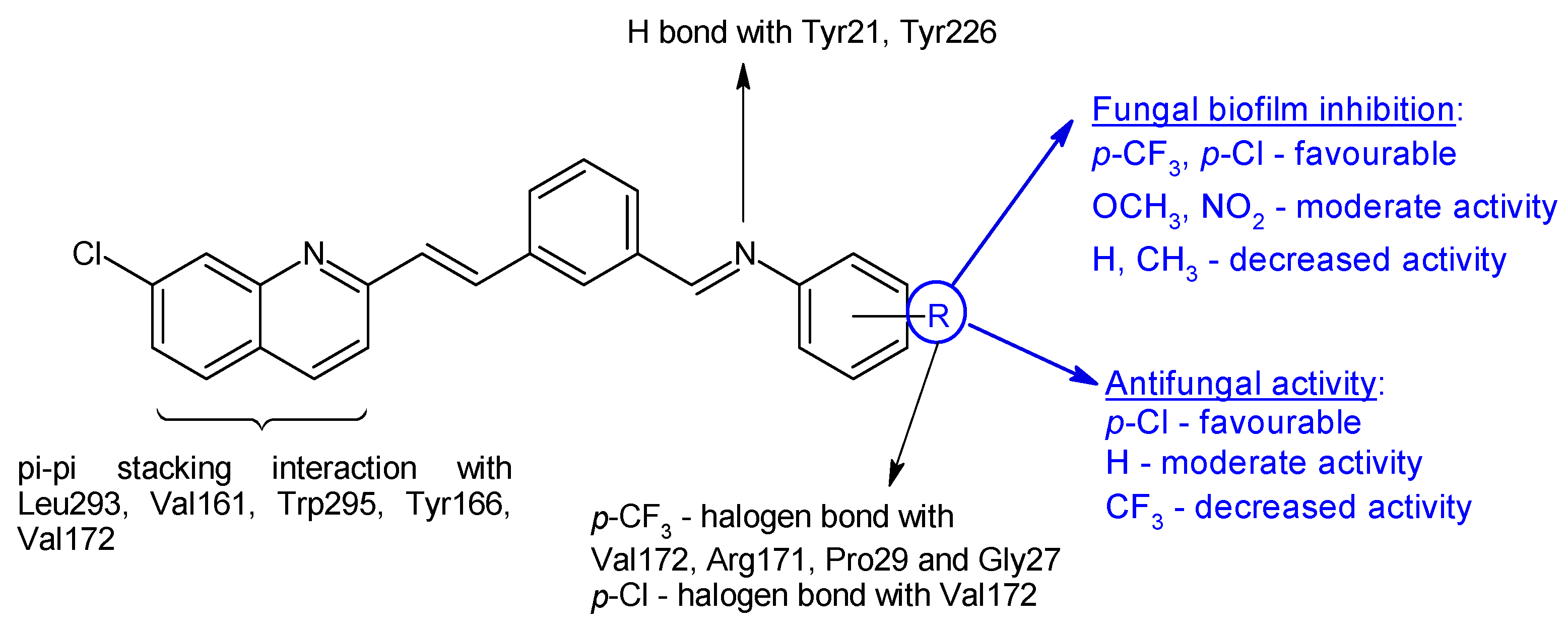 Antibiotics 13 00075 g005