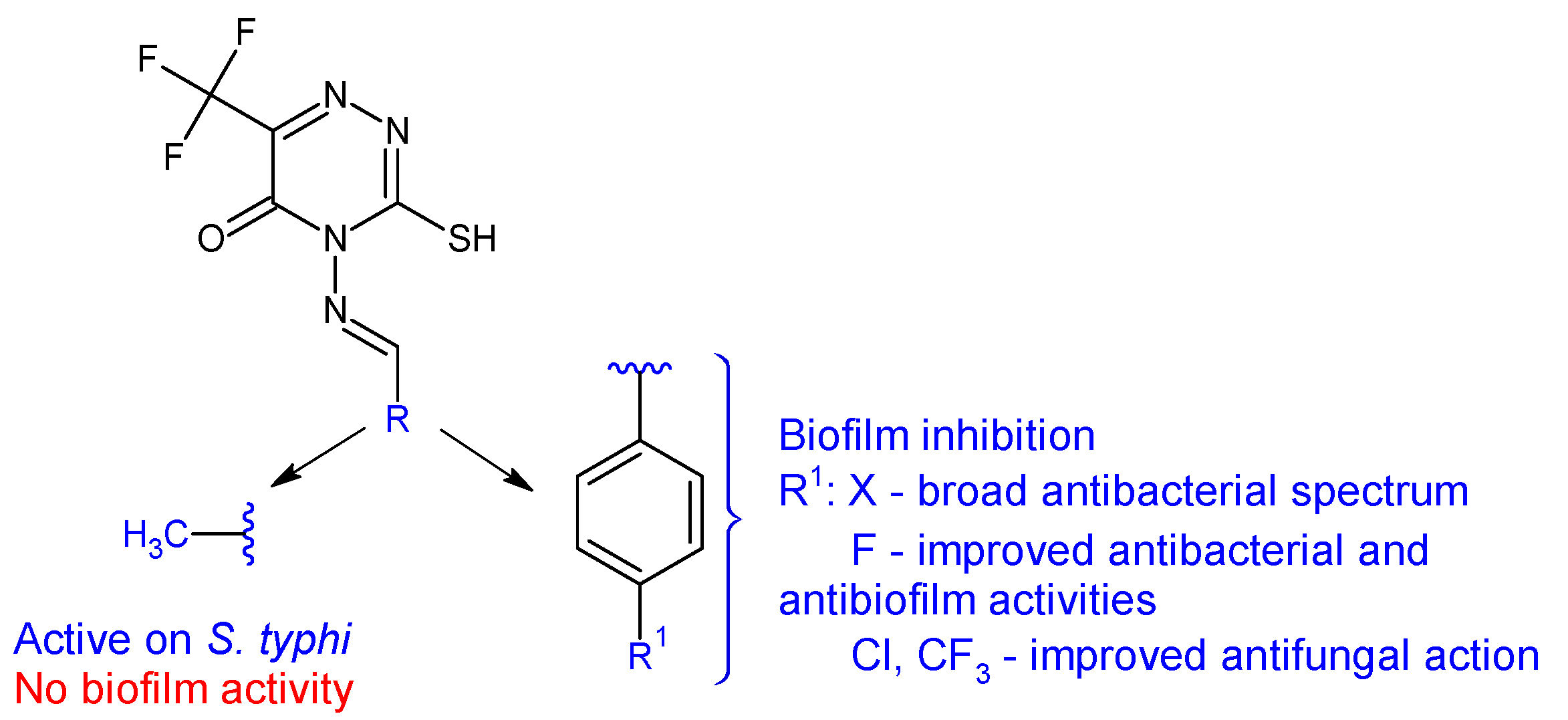 Antibiotics 13 00075 g007