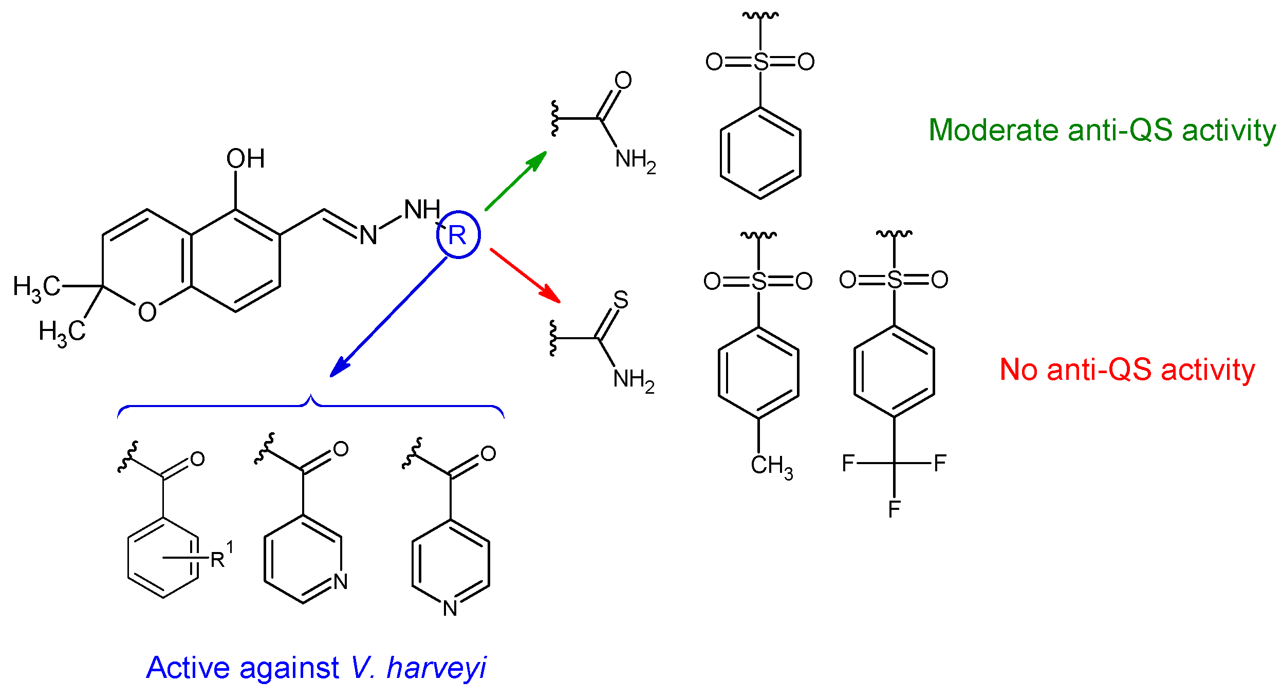 Antibiotics 13 00075 g009