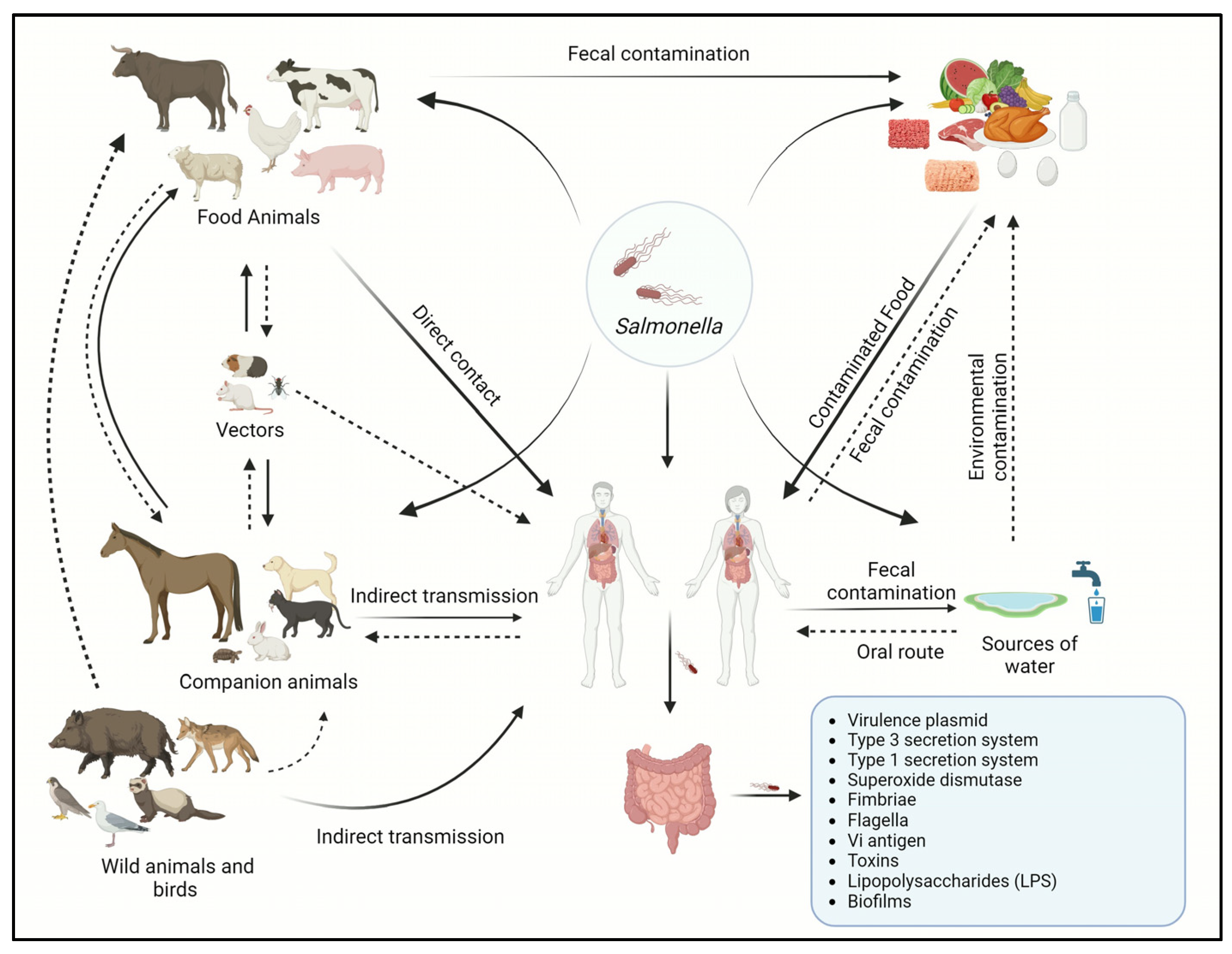 Antibiotics, Free Full-Text