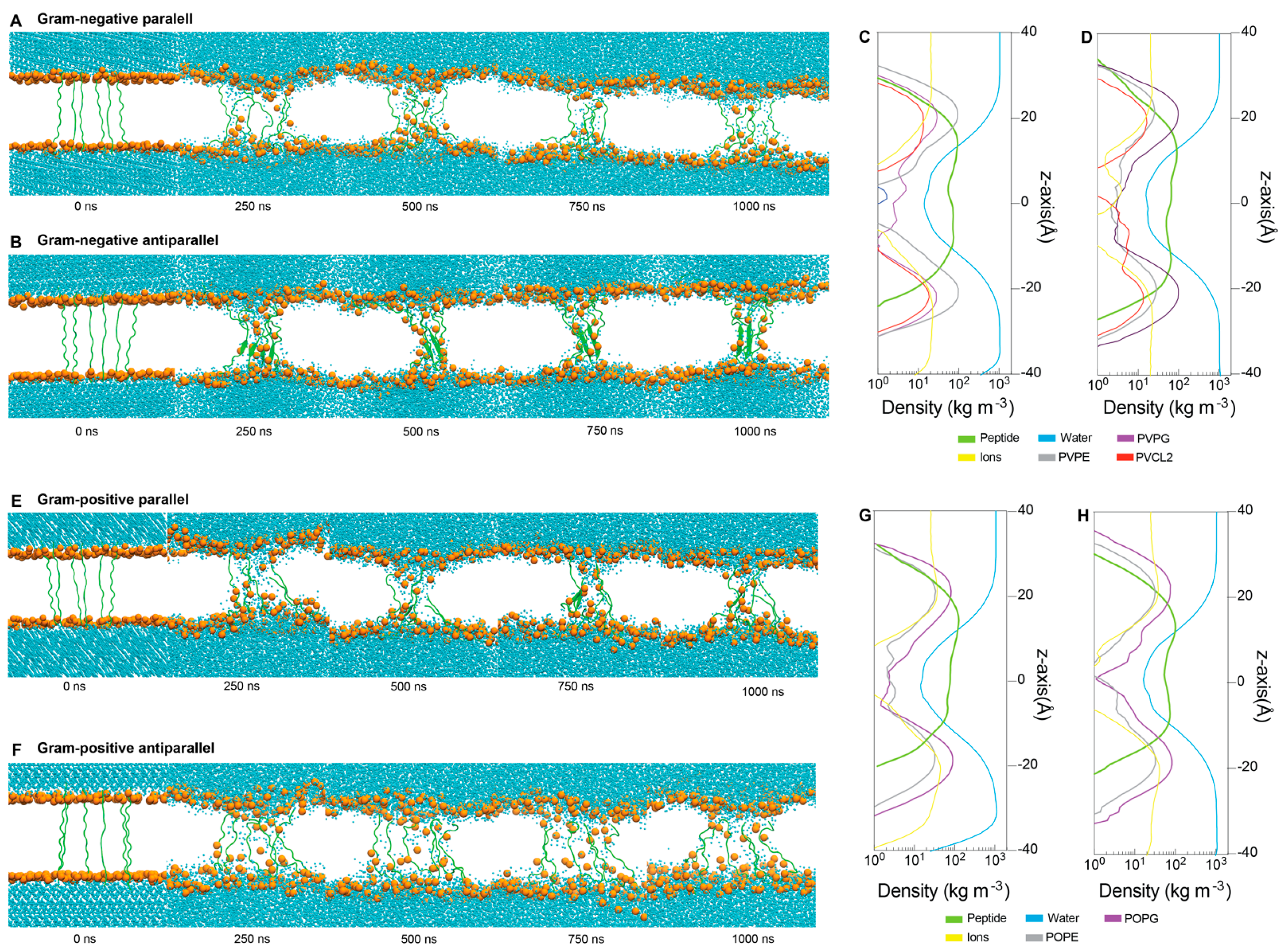 Antibiotics 13 00078 g006