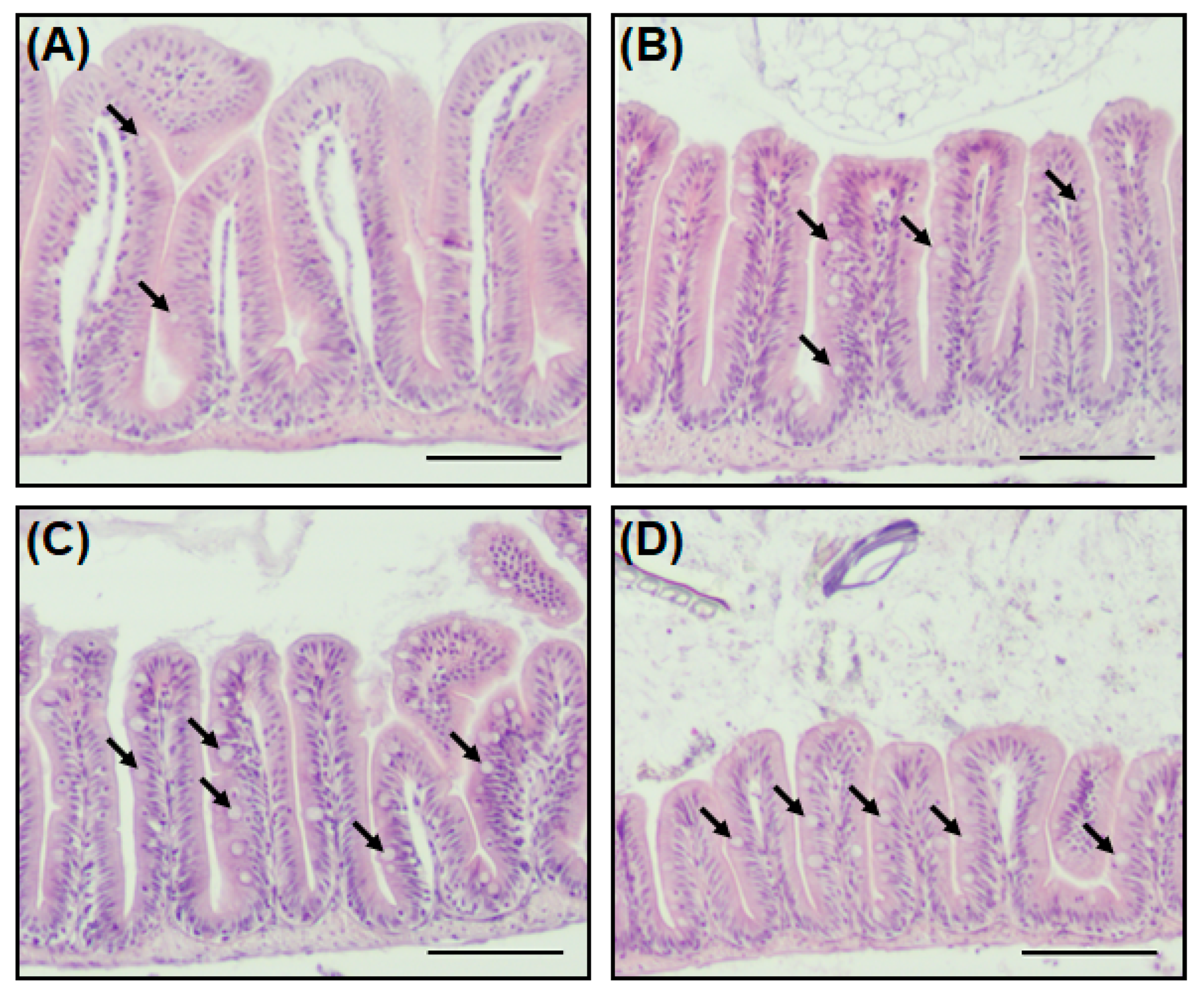 Antibiotics 13 00082 g004