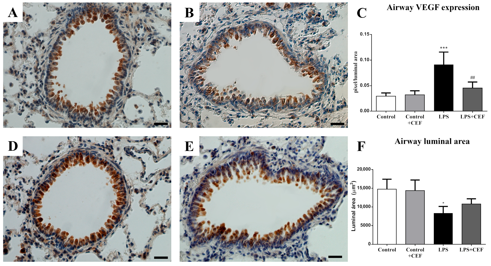 Antibiotics 13 00083 g002