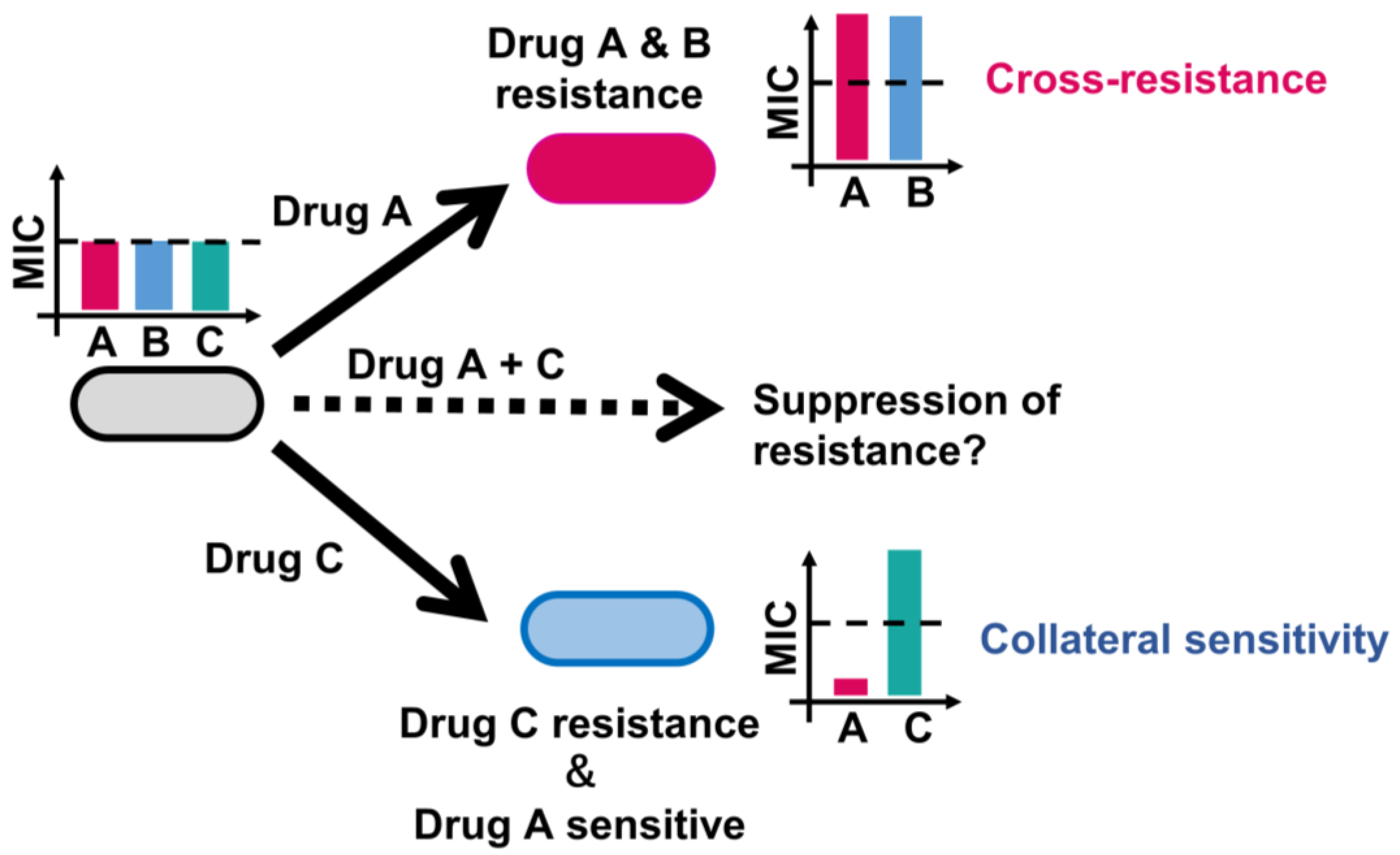 Antibiotics 13 00094 g001