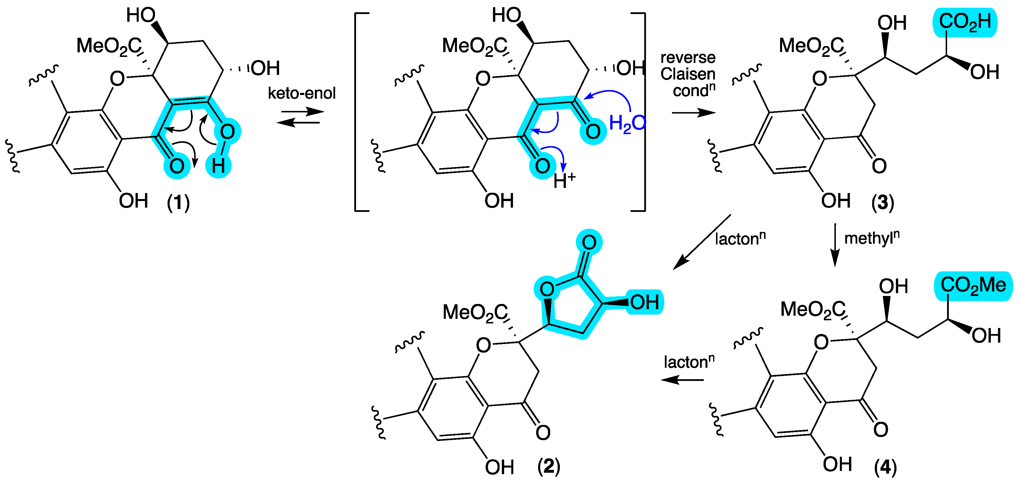 Antibiotics 13 00097 g005