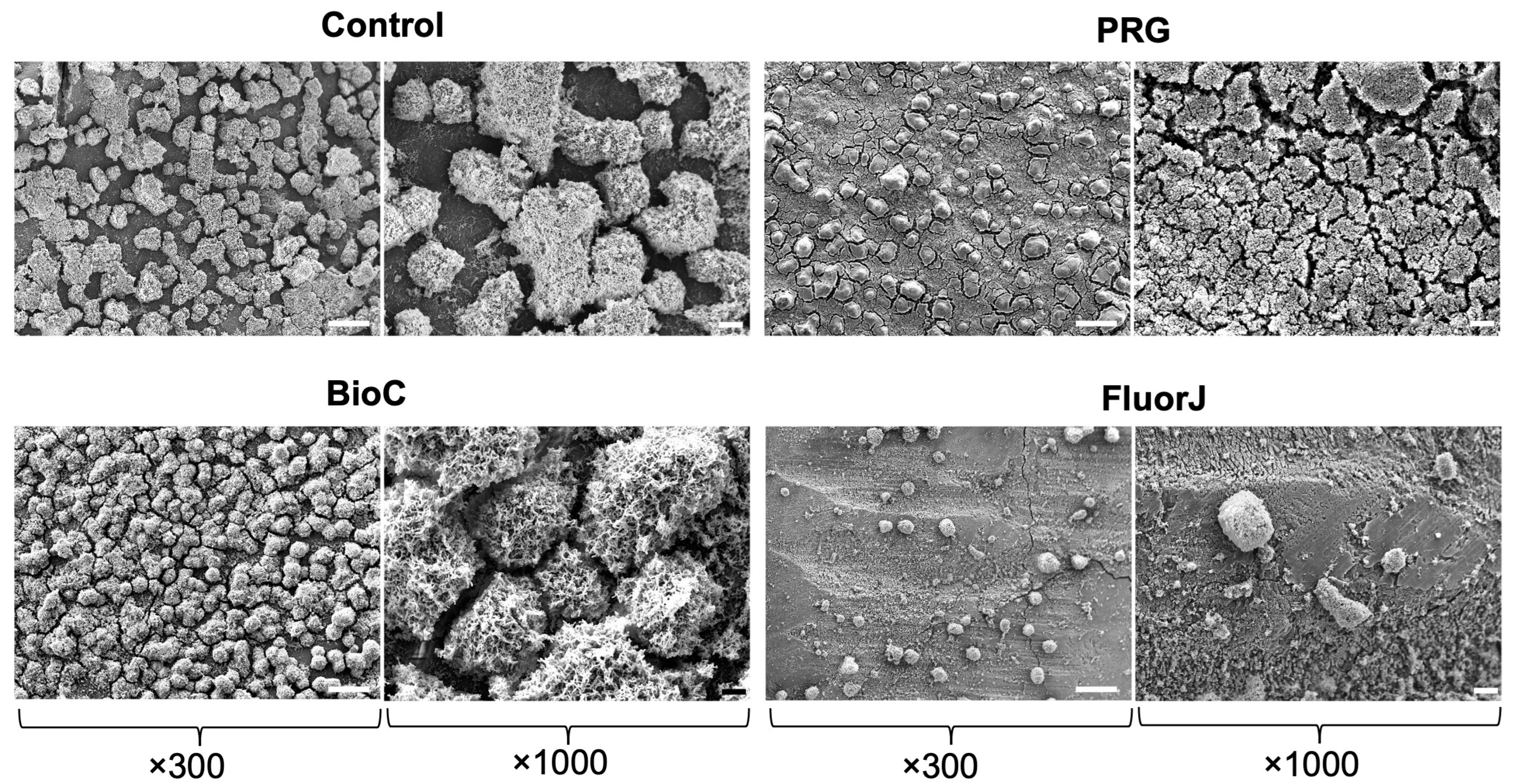 Antibiotics 13 00106 g001